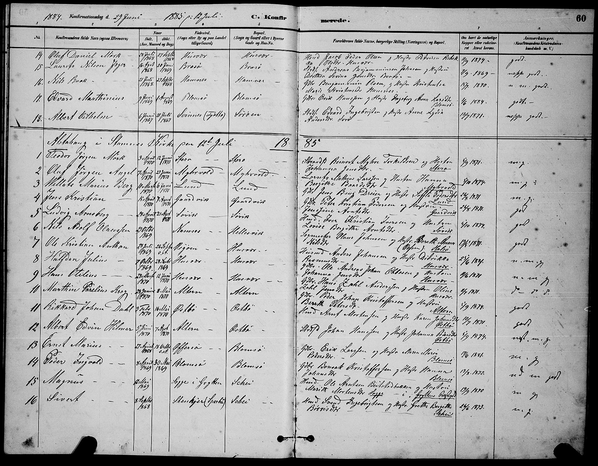 Ministerialprotokoller, klokkerbøker og fødselsregistre - Nordland, AV/SAT-A-1459/830/L0462: Parish register (copy) no. 830C04, 1882-1895, p. 60