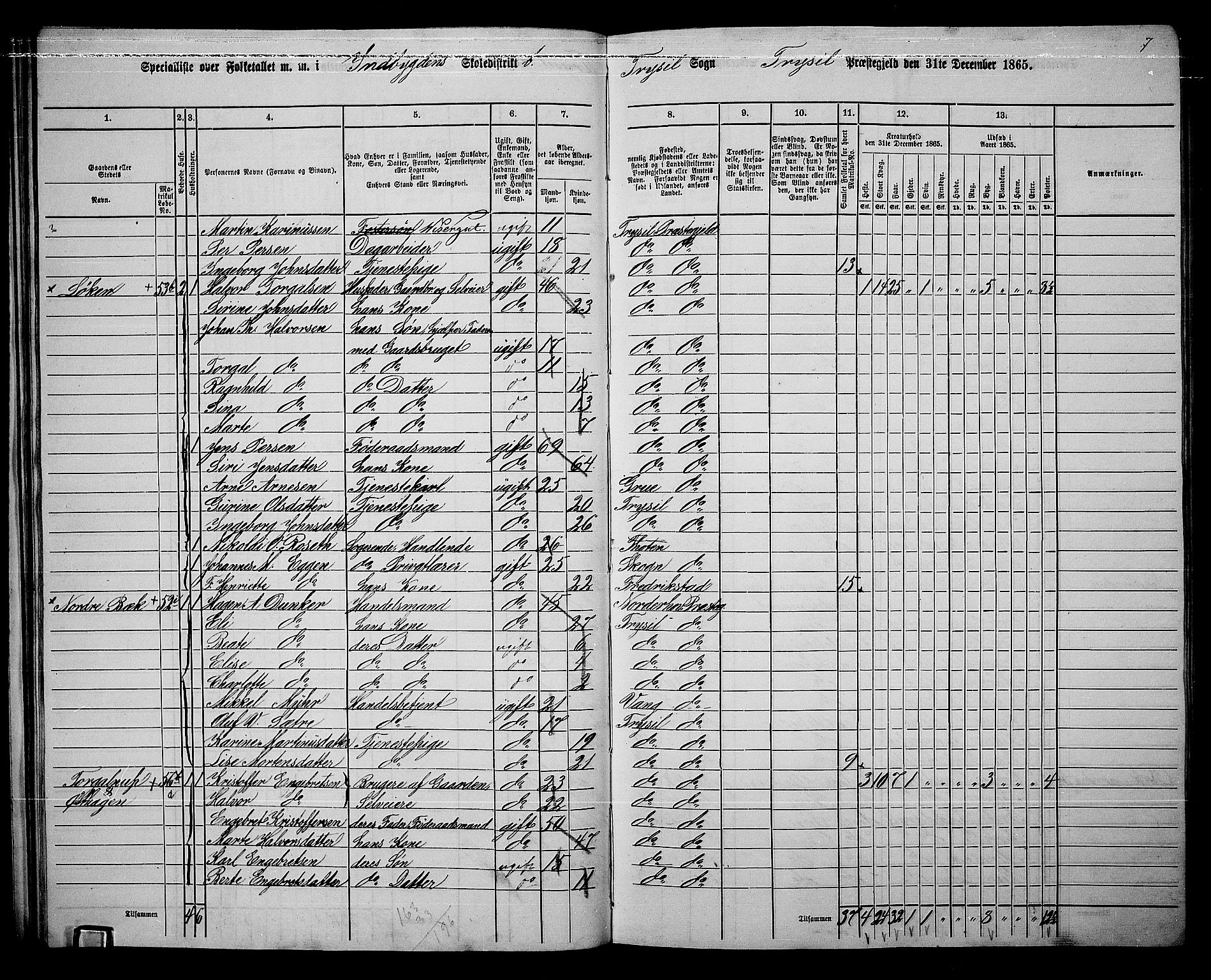 RA, 1865 census for Trysil, 1865, p. 36