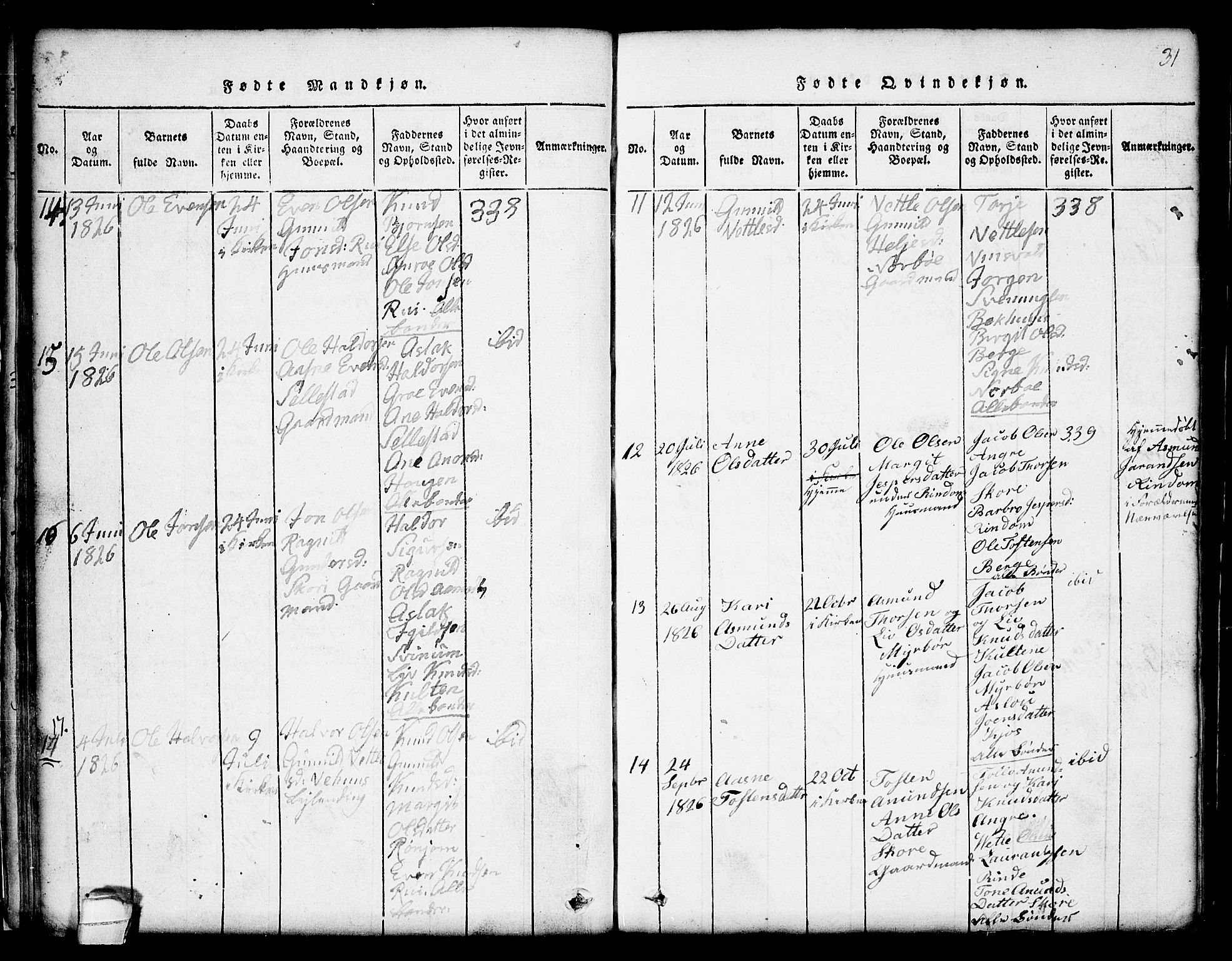 Seljord kirkebøker, SAKO/A-20/G/Gc/L0001: Parish register (copy) no. III 1, 1815-1849, p. 31