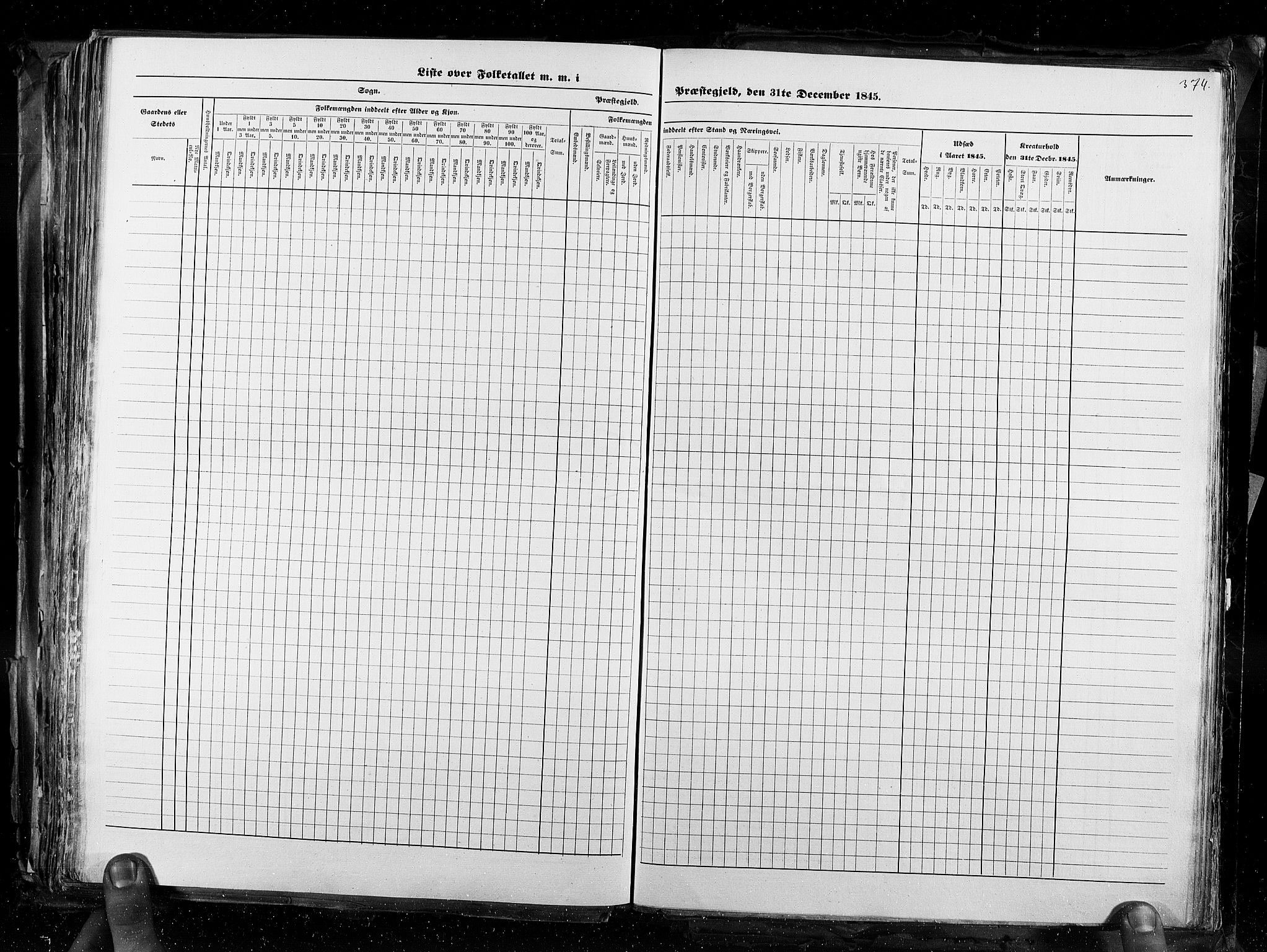 RA, Census 1845, vol. 3: Hedemarken amt og Kristians amt, 1845, p. 374