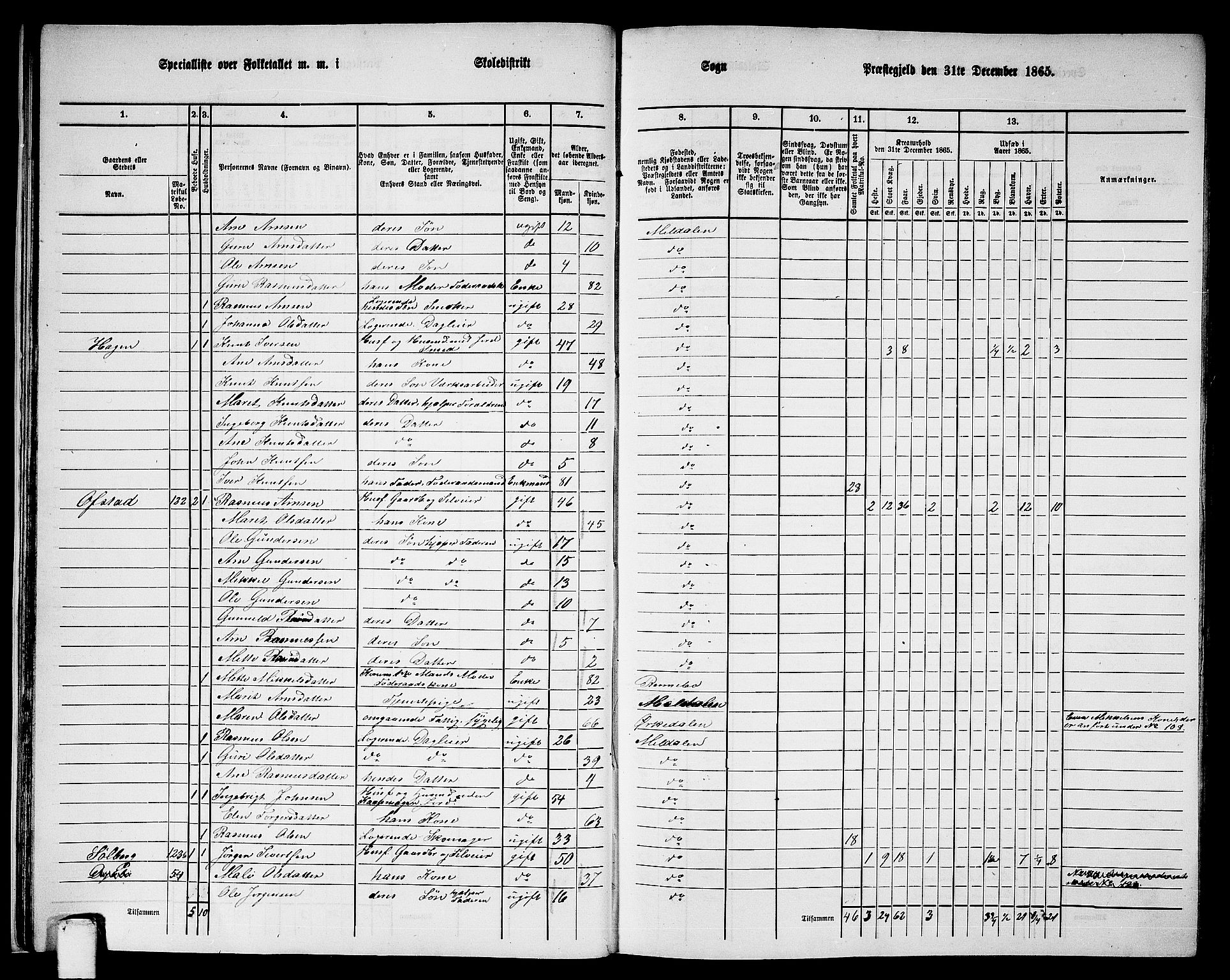 RA, 1865 census for Meldal, 1865, p. 28