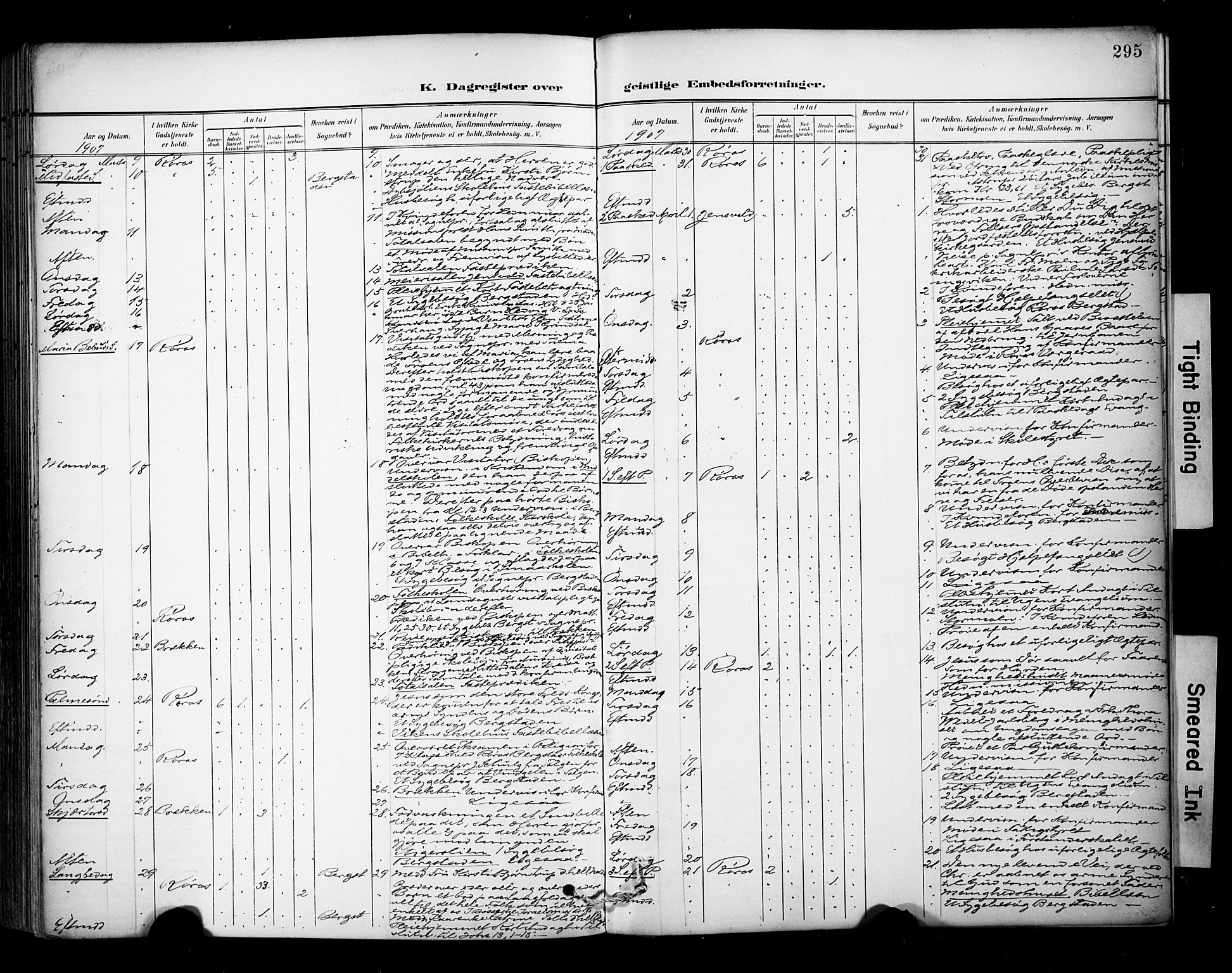 Ministerialprotokoller, klokkerbøker og fødselsregistre - Sør-Trøndelag, AV/SAT-A-1456/681/L0936: Parish register (official) no. 681A14, 1899-1908, p. 295