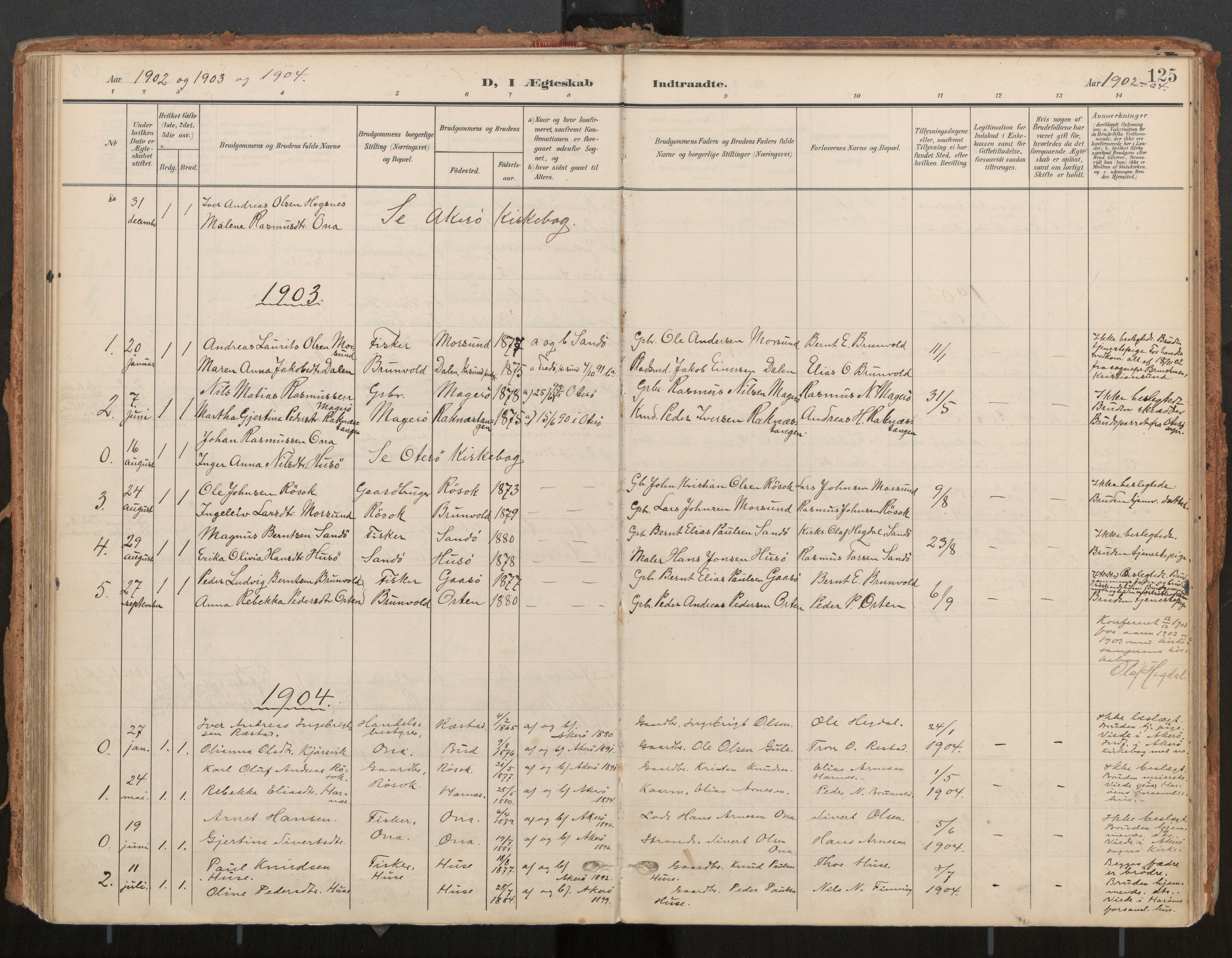 Ministerialprotokoller, klokkerbøker og fødselsregistre - Møre og Romsdal, AV/SAT-A-1454/561/L0730: Parish register (official) no. 561A04, 1901-1929, p. 125