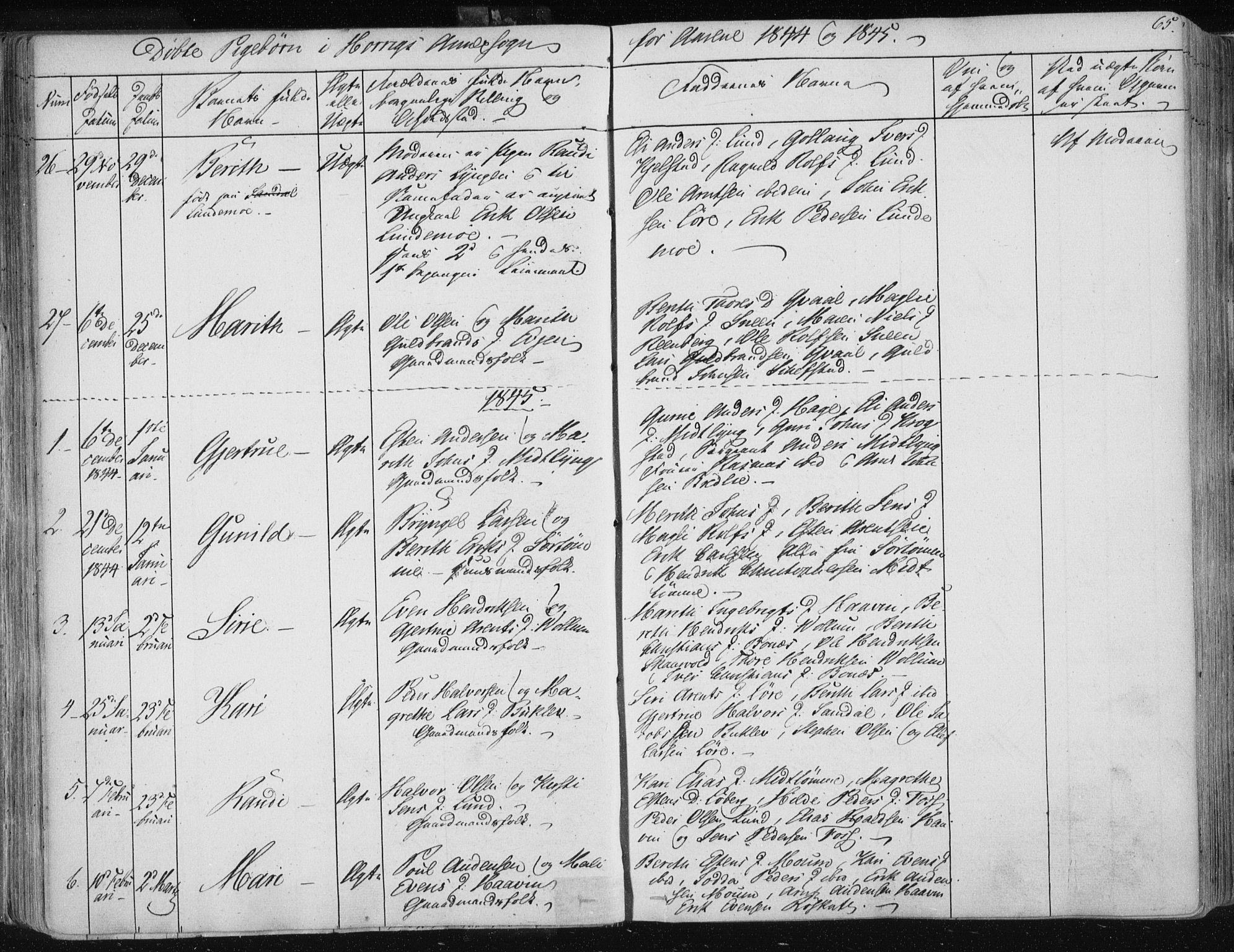 Ministerialprotokoller, klokkerbøker og fødselsregistre - Sør-Trøndelag, SAT/A-1456/687/L0998: Parish register (official) no. 687A05 /2, 1843-1849, p. 65