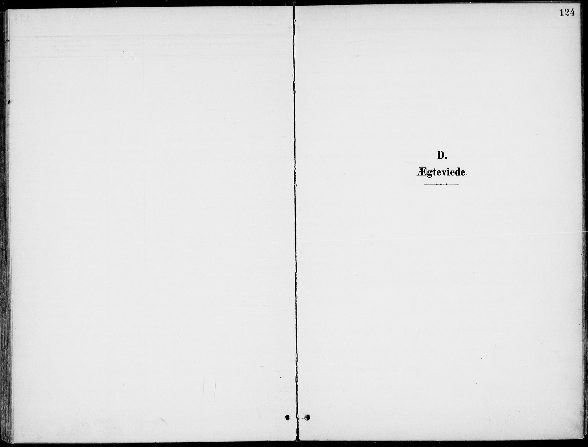 Ådal kirkebøker, SAKO/A-248/F/Fb/L0002: Parish register (official) no. II 2, 1898-1917, p. 124