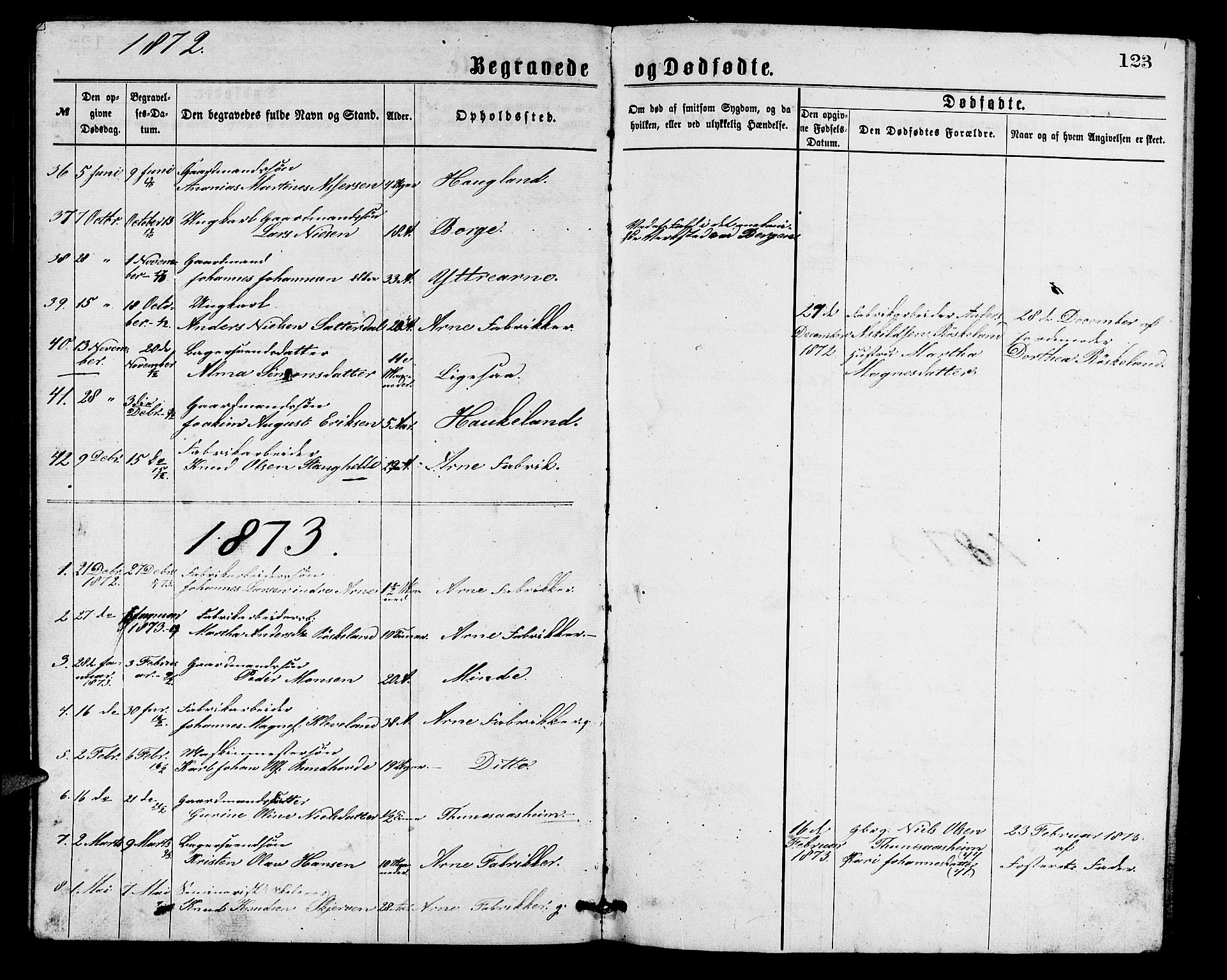 Arna Sokneprestembete, SAB/A-74001/H/Ha/Hab: Parish register (copy) no. A 1, 1869-1879, p. 123