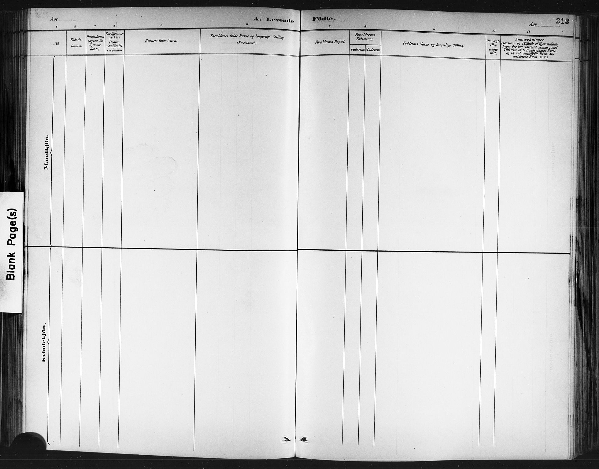 Porsgrunn kirkebøker , AV/SAKO-A-104/G/Gb/L0005: Parish register (copy) no. II 5, 1883-1915, p. 213