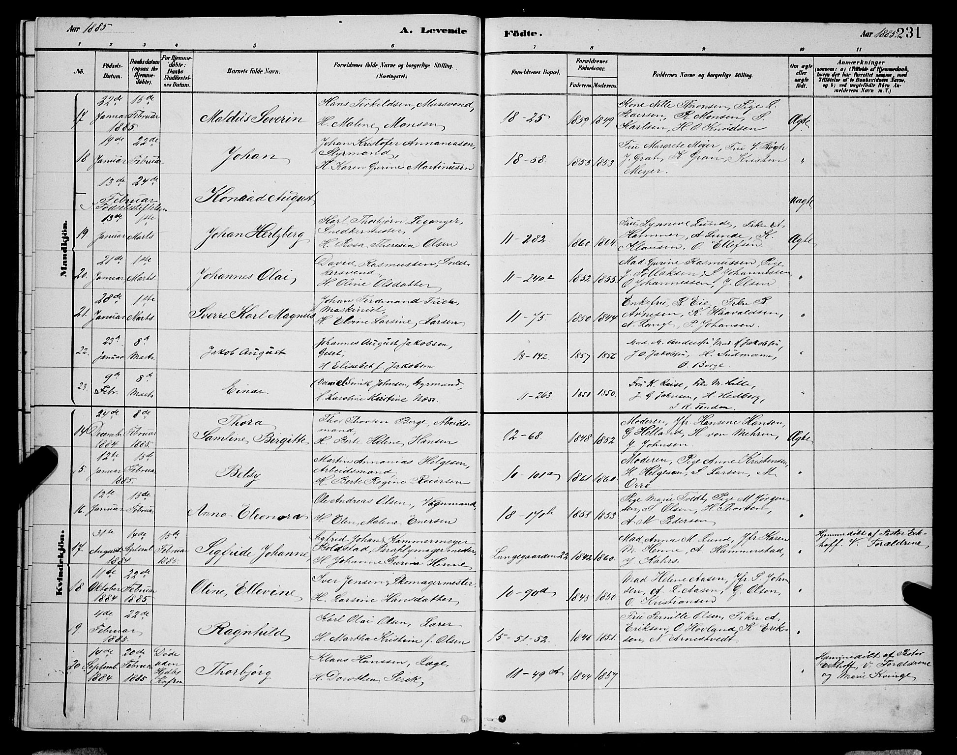 Domkirken sokneprestembete, AV/SAB-A-74801/H/Hab/L0015: Parish register (copy) no. B 8, 1879-1887, p. 231