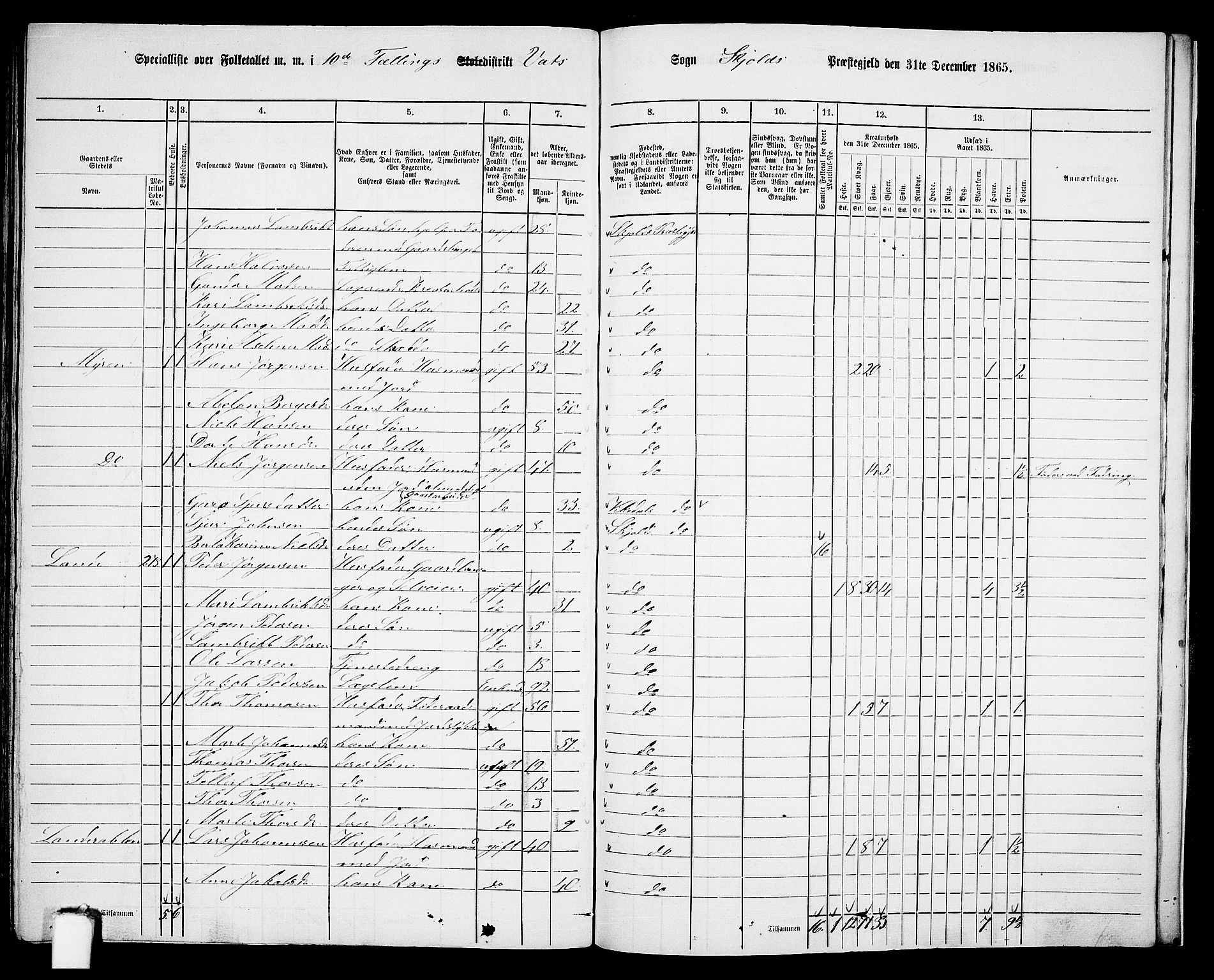 RA, 1865 census for Skjold, 1865, p. 143