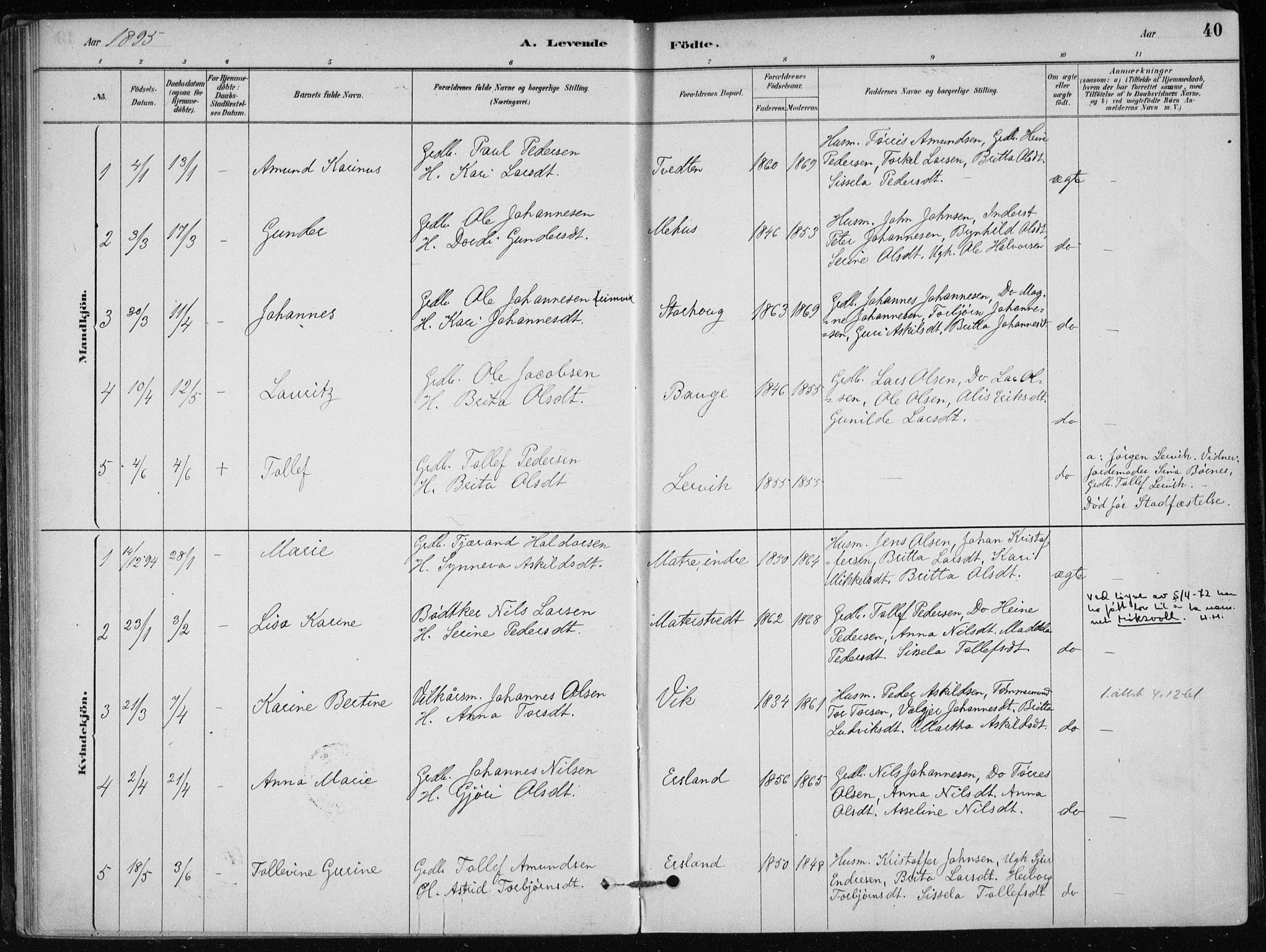 Skånevik sokneprestembete, AV/SAB-A-77801/H/Haa: Parish register (official) no. C  1, 1879-1917, p. 40