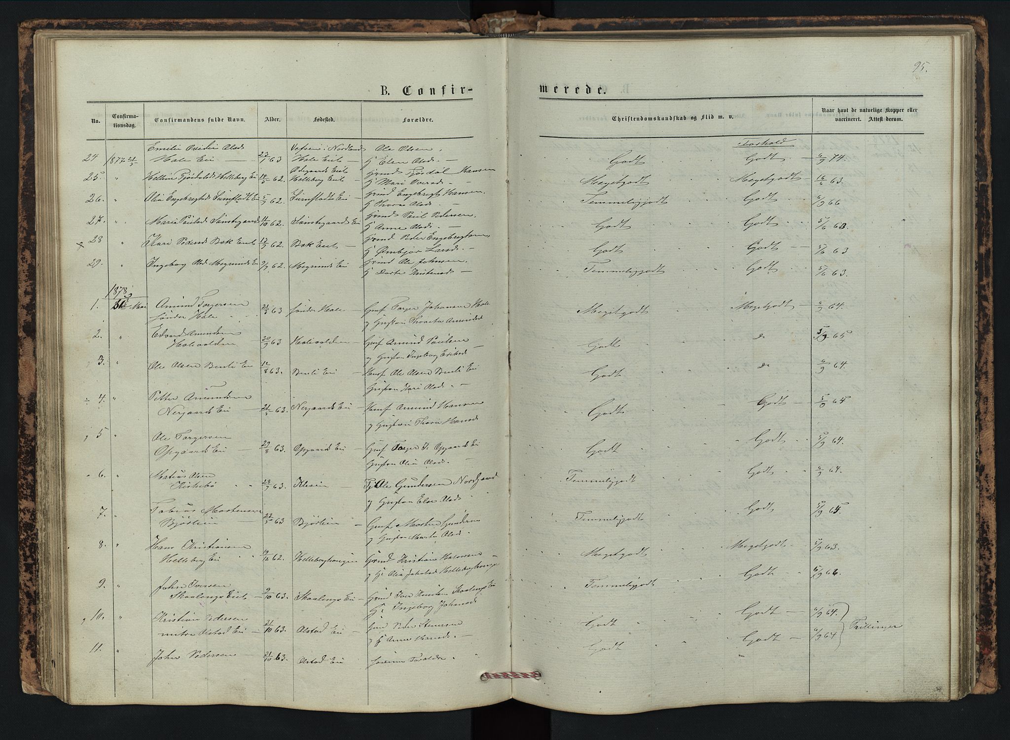 Vestre Gausdal prestekontor, SAH/PREST-094/H/Ha/Hab/L0002: Parish register (copy) no. 2, 1874-1897, p. 95