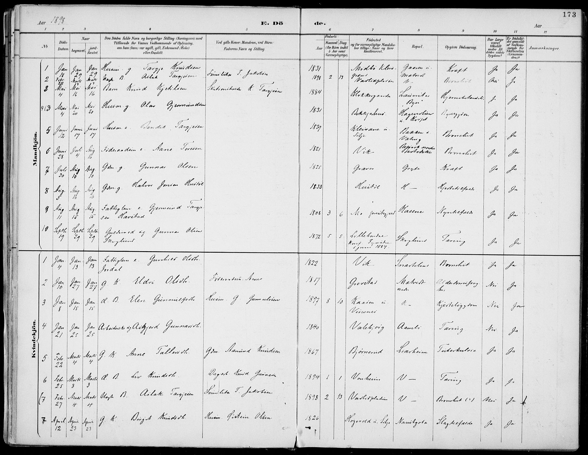 Fyresdal kirkebøker, SAKO/A-263/F/Fa/L0007: Parish register (official) no. I 7, 1887-1914, p. 173