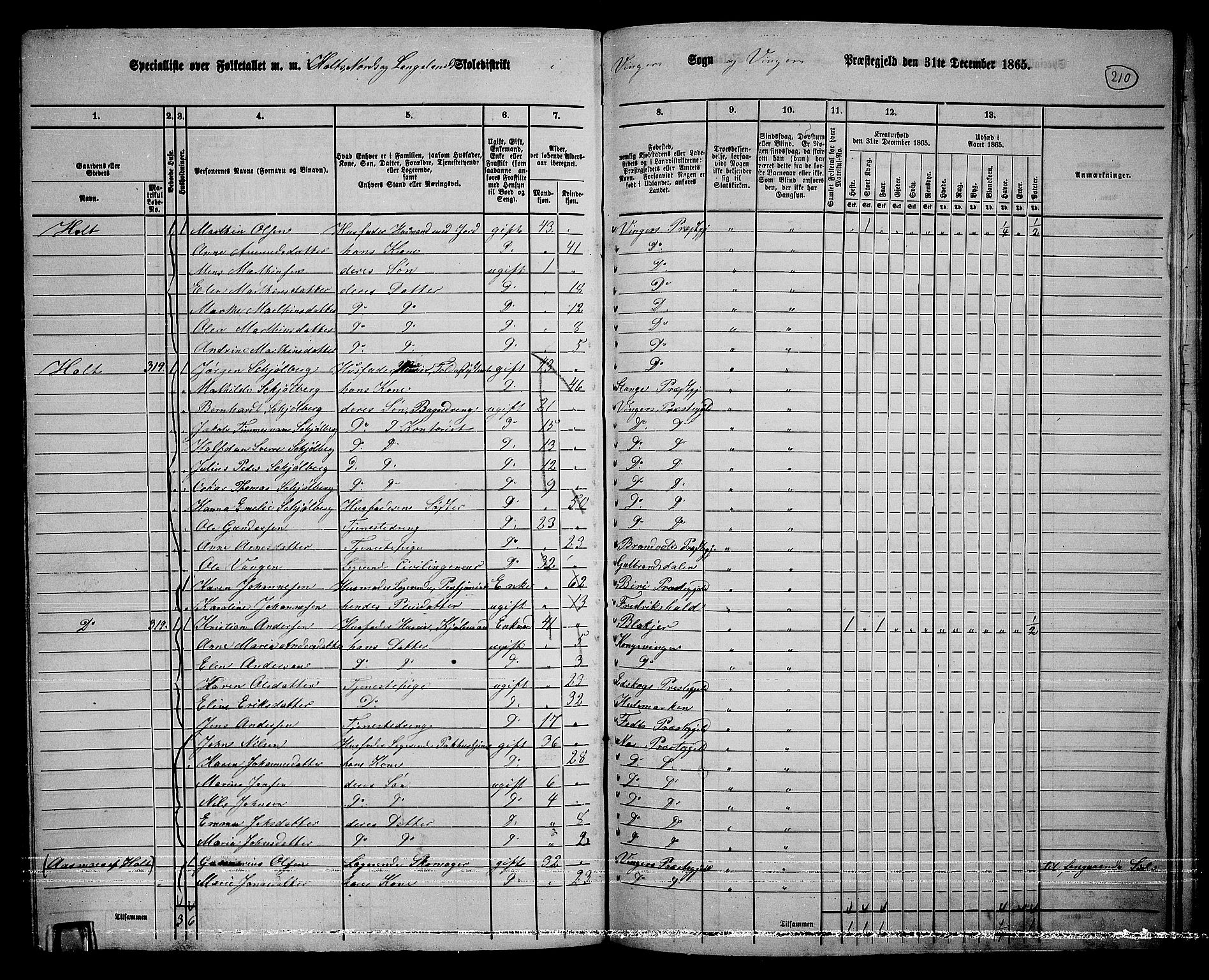 RA, 1865 census for Vinger/Vinger og Austmarka, 1865, p. 192