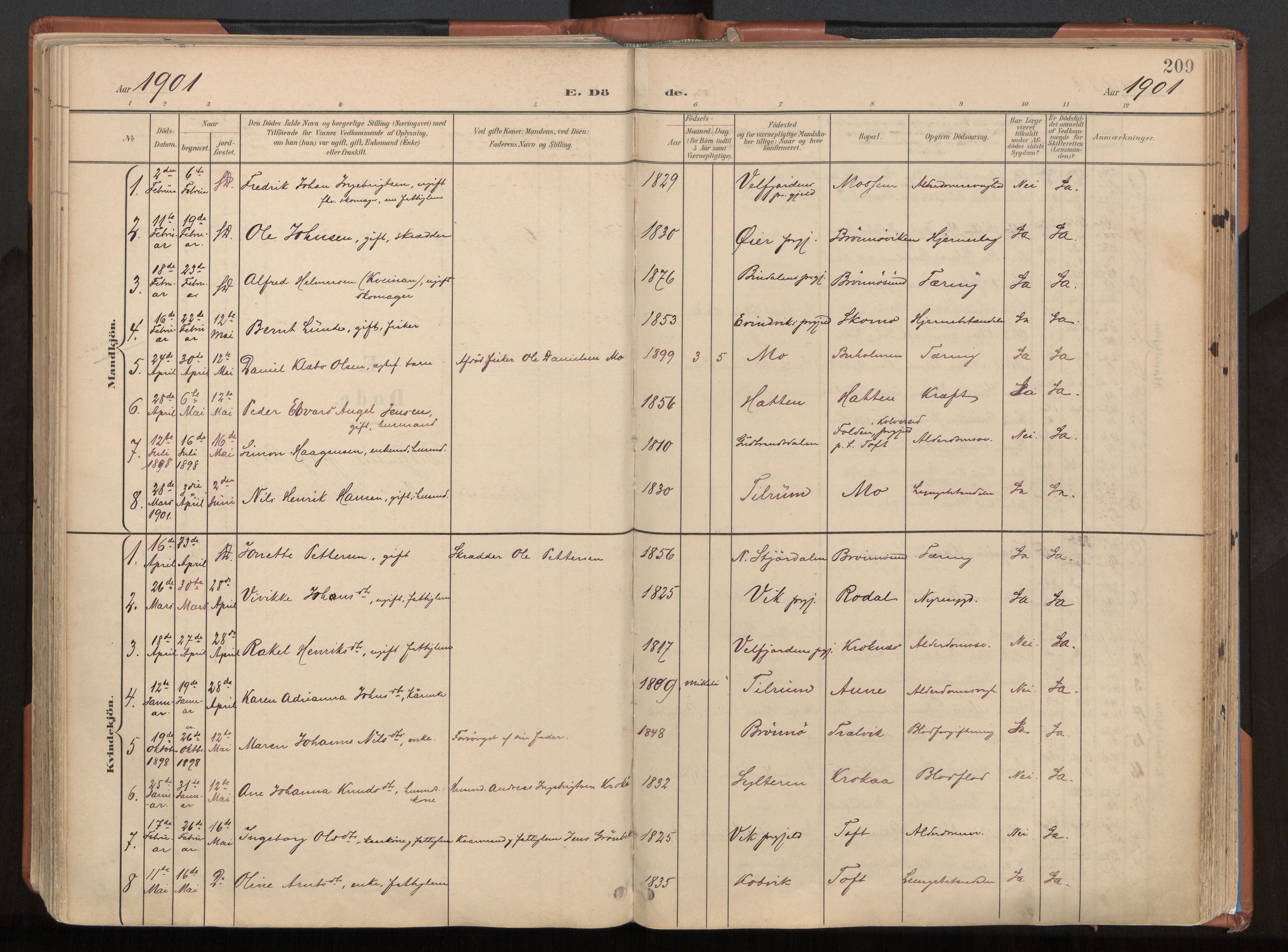 Ministerialprotokoller, klokkerbøker og fødselsregistre - Nordland, SAT/A-1459/813/L0201: Parish register (official) no. 813A11, 1901-1918, p. 209