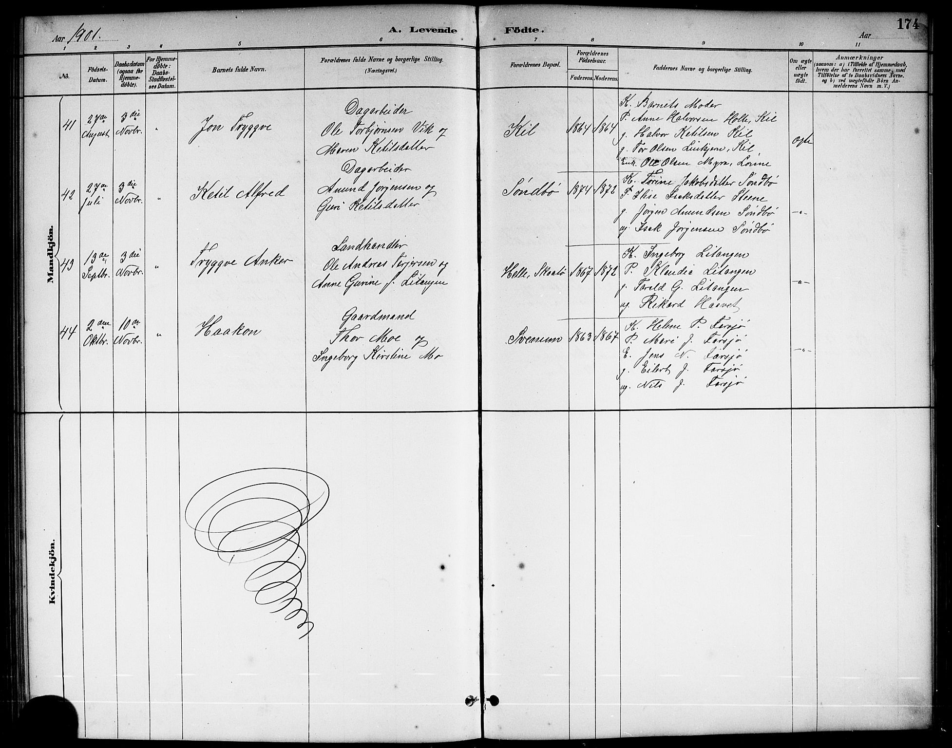 Sannidal kirkebøker, AV/SAKO-A-296/G/Ga/L0003: Parish register (copy) no. 3, 1887-1922, p. 174