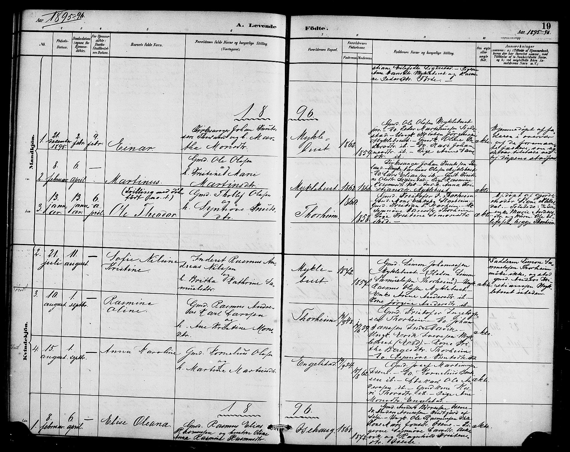 Davik sokneprestembete, SAB/A-79701/H/Haa/Haae/L0001: Parish register (official) no. E 1, 1882-1900, p. 19