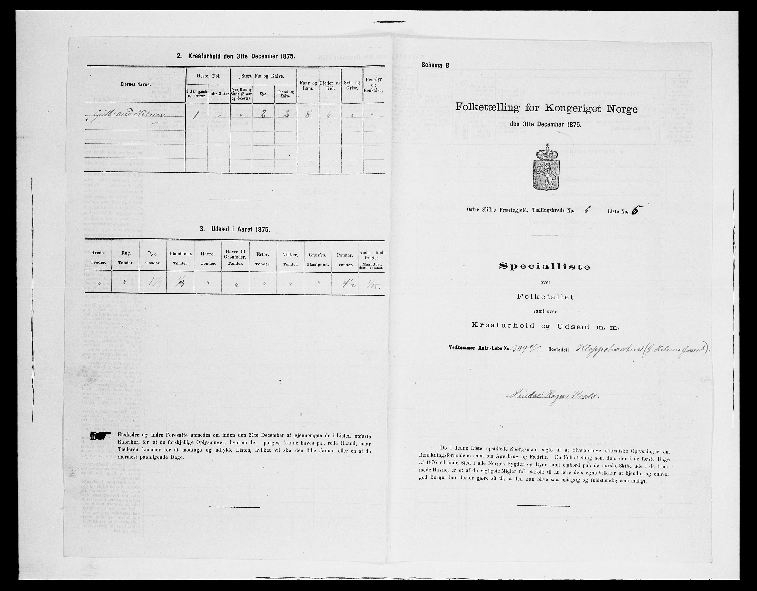 SAH, 1875 census for 0544P Øystre Slidre, 1875, p. 702