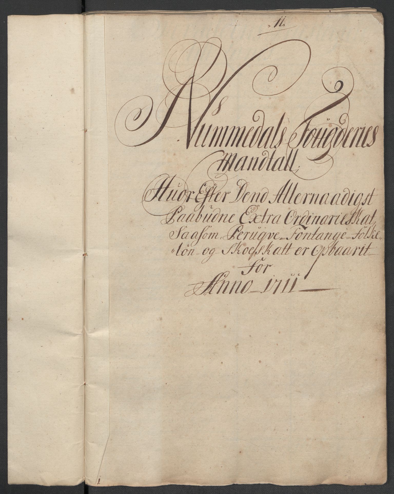 Rentekammeret inntil 1814, Reviderte regnskaper, Fogderegnskap, RA/EA-4092/R64/L4432: Fogderegnskap Namdal, 1711, p. 298