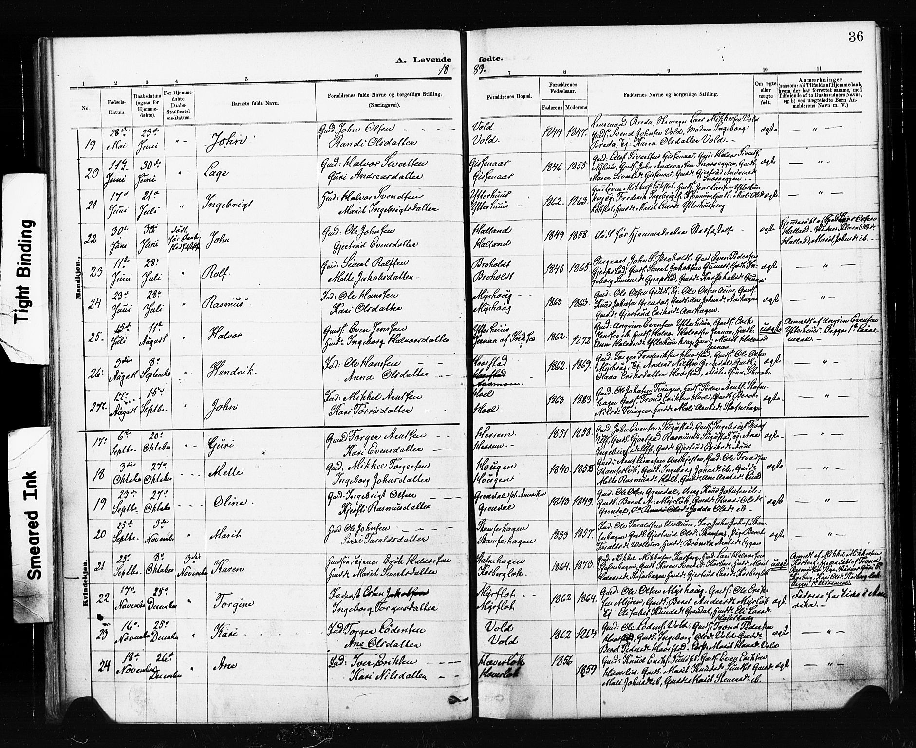 Ministerialprotokoller, klokkerbøker og fødselsregistre - Sør-Trøndelag, SAT/A-1456/674/L0871: Parish register (official) no. 674A03, 1880-1896, p. 36