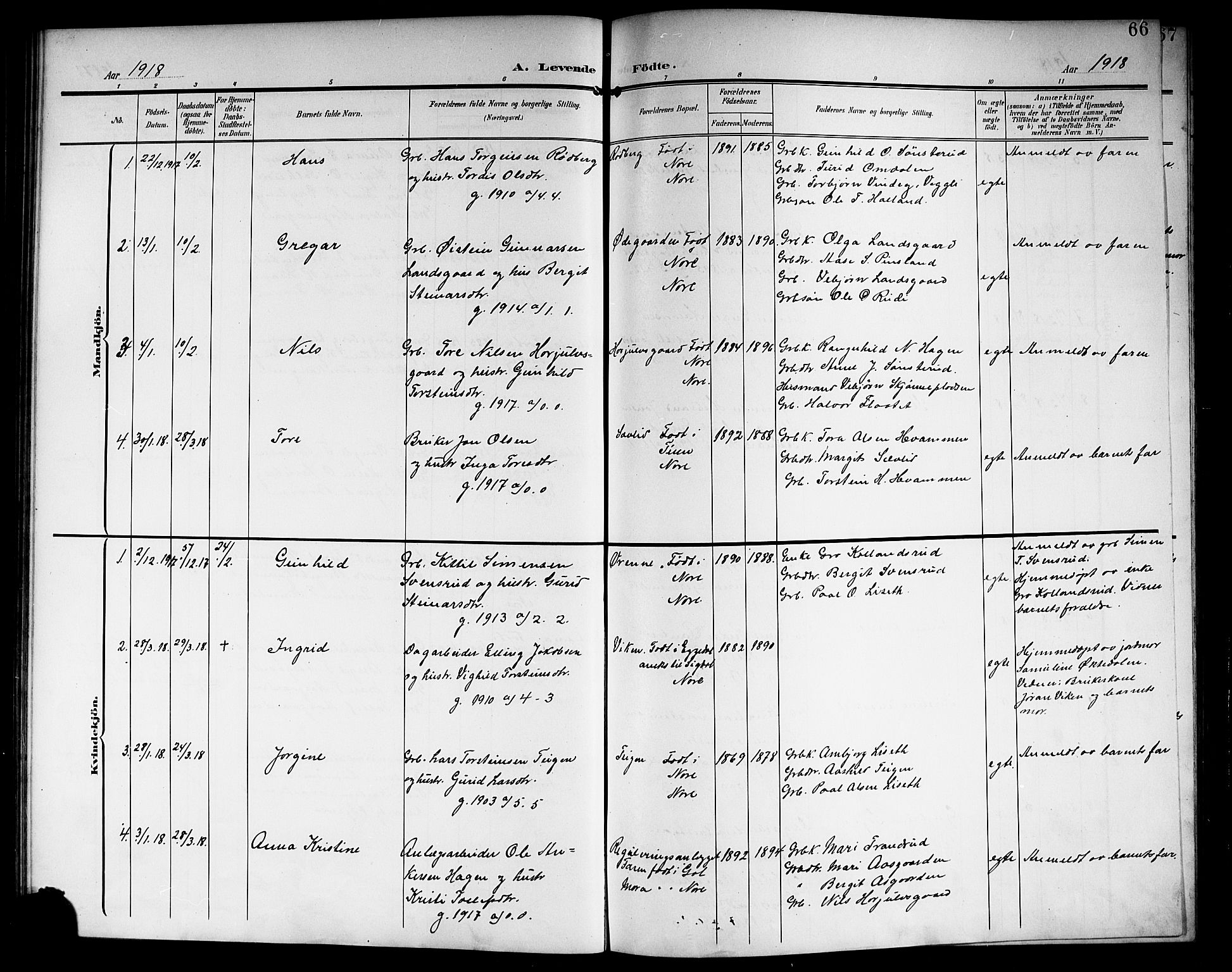 Nore kirkebøker, SAKO/A-238/G/Ga/L0004: Parish register (copy) no. I 4, 1904-1919, p. 66