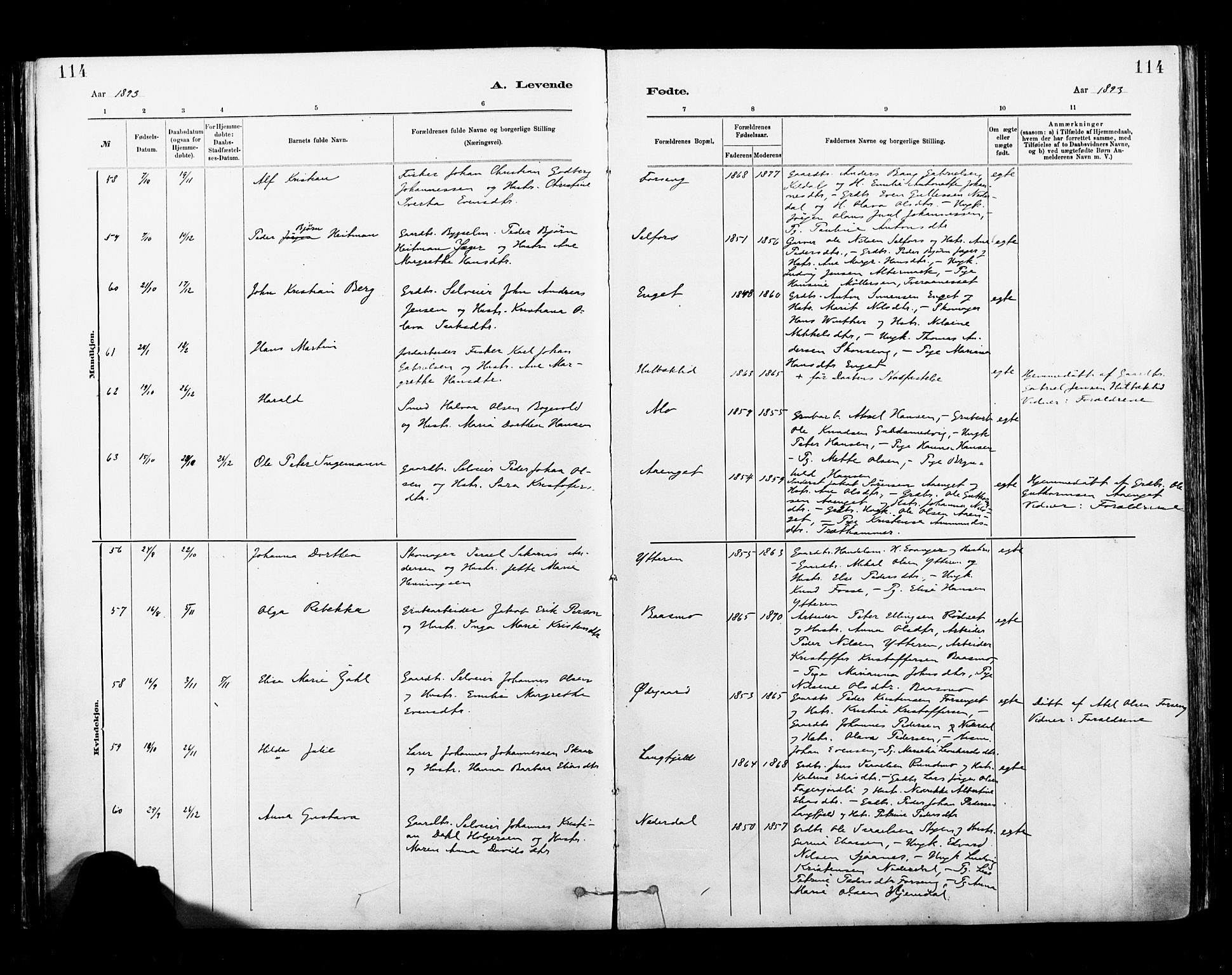 Ministerialprotokoller, klokkerbøker og fødselsregistre - Nordland, AV/SAT-A-1459/827/L0400: Parish register (official) no. 827A12, 1883-1903, p. 114