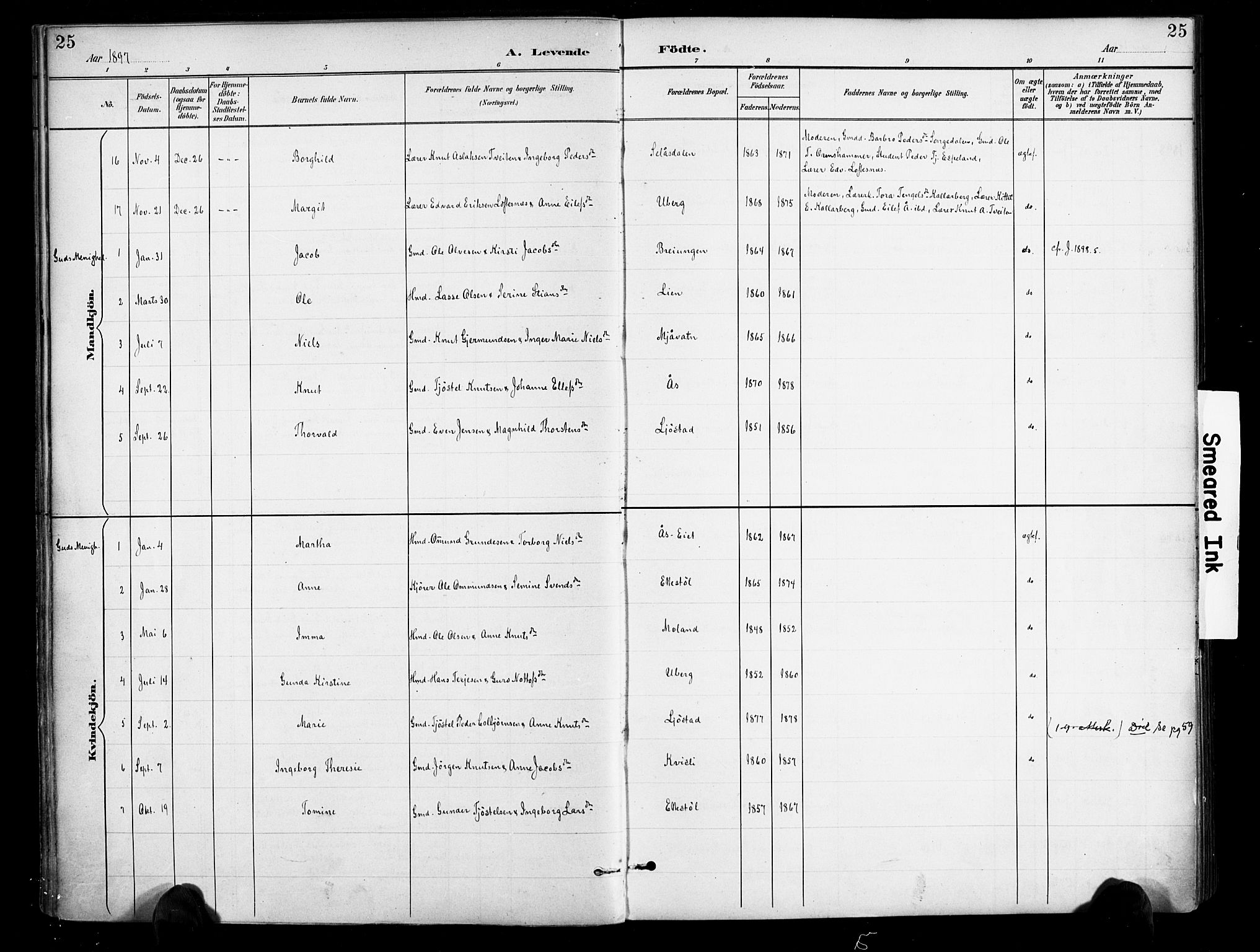 Gjerstad sokneprestkontor, AV/SAK-1111-0014/F/Fa/Fab/L0005: Parish register (official) no. A 5, 1891-1908, p. 25