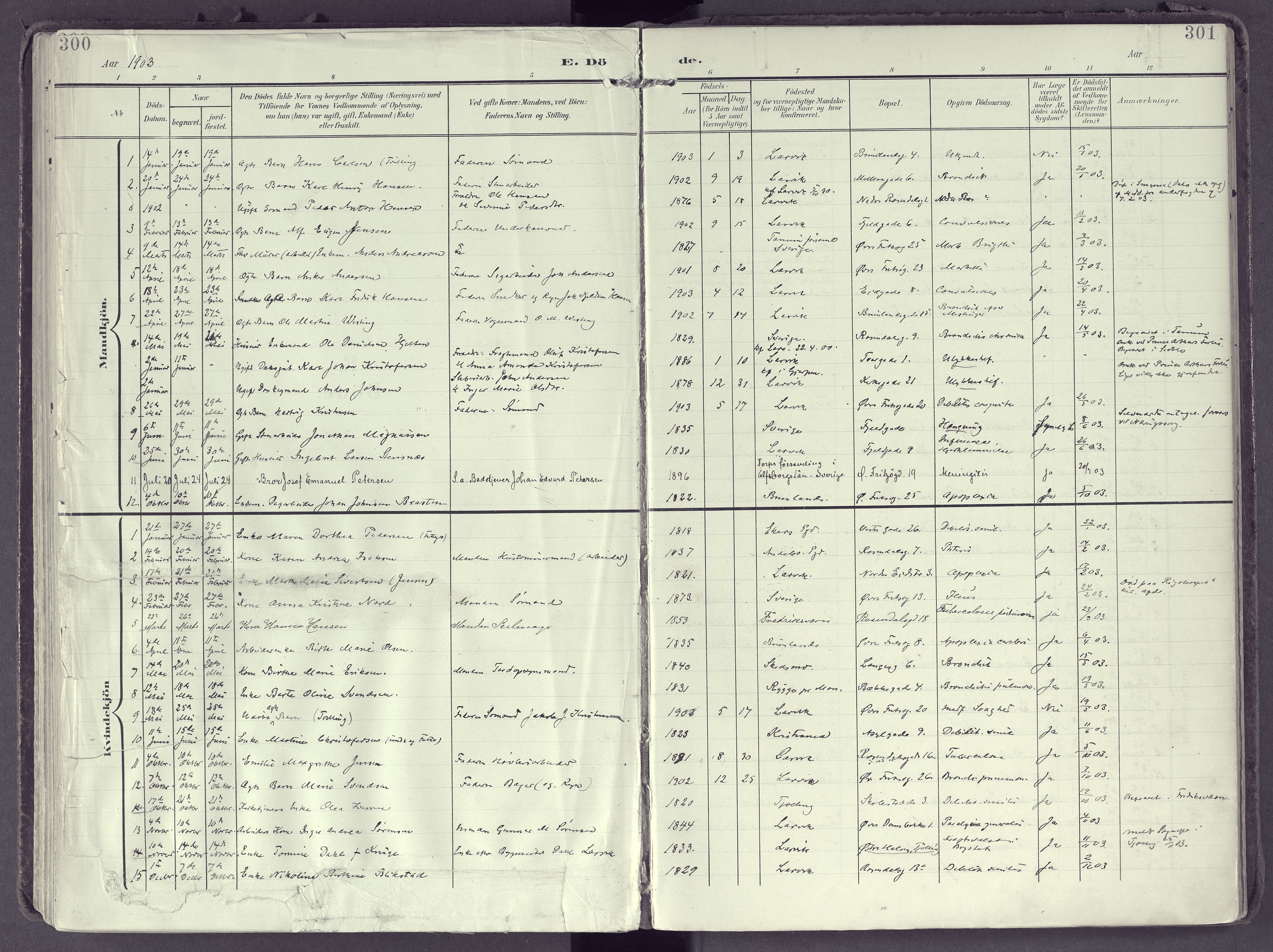 Larvik kirkebøker, AV/SAKO-A-352/F/Fb/L0005: Parish register (official) no. II 5, 1903-1925, p. 300-301