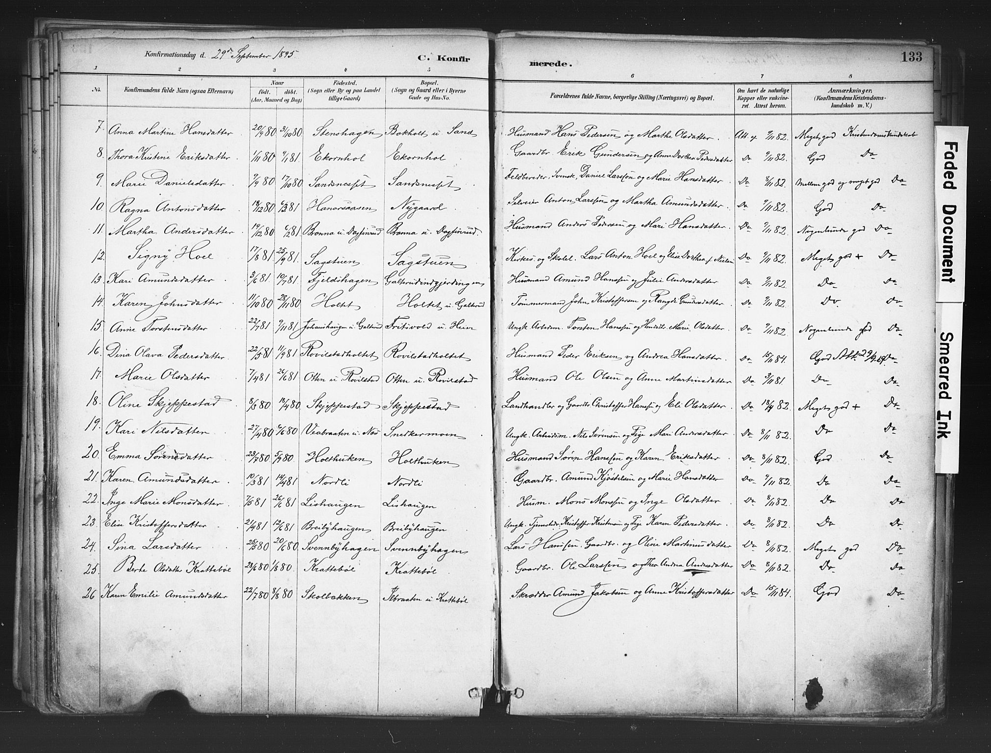 Nord-Odal prestekontor, AV/SAH-PREST-032/H/Ha/Haa/L0006: Parish register (official) no. 6, 1886-1901, p. 133