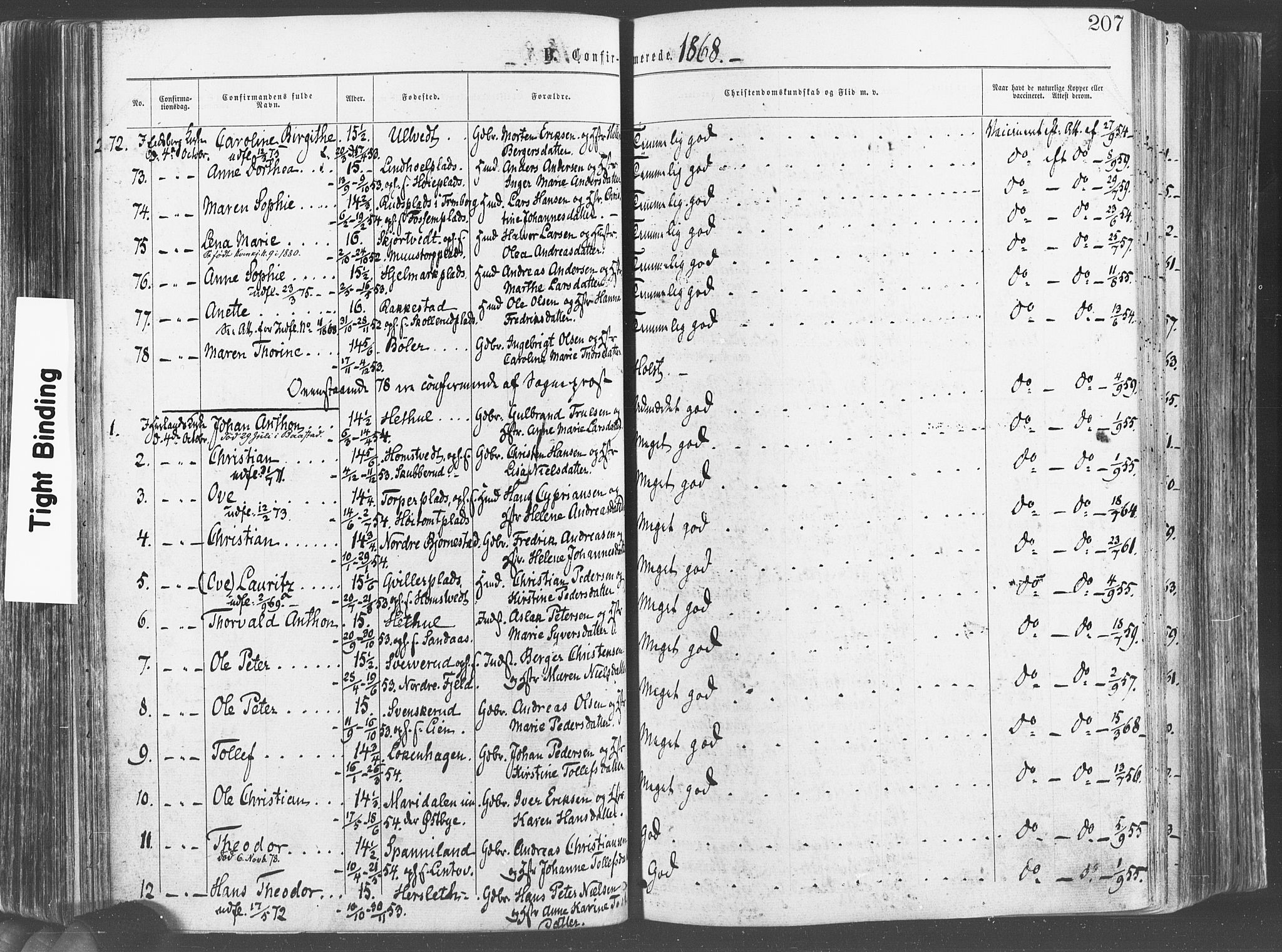 Eidsberg prestekontor Kirkebøker, AV/SAO-A-10905/F/Fa/L0011: Parish register (official) no. I 11, 1867-1878, p. 207