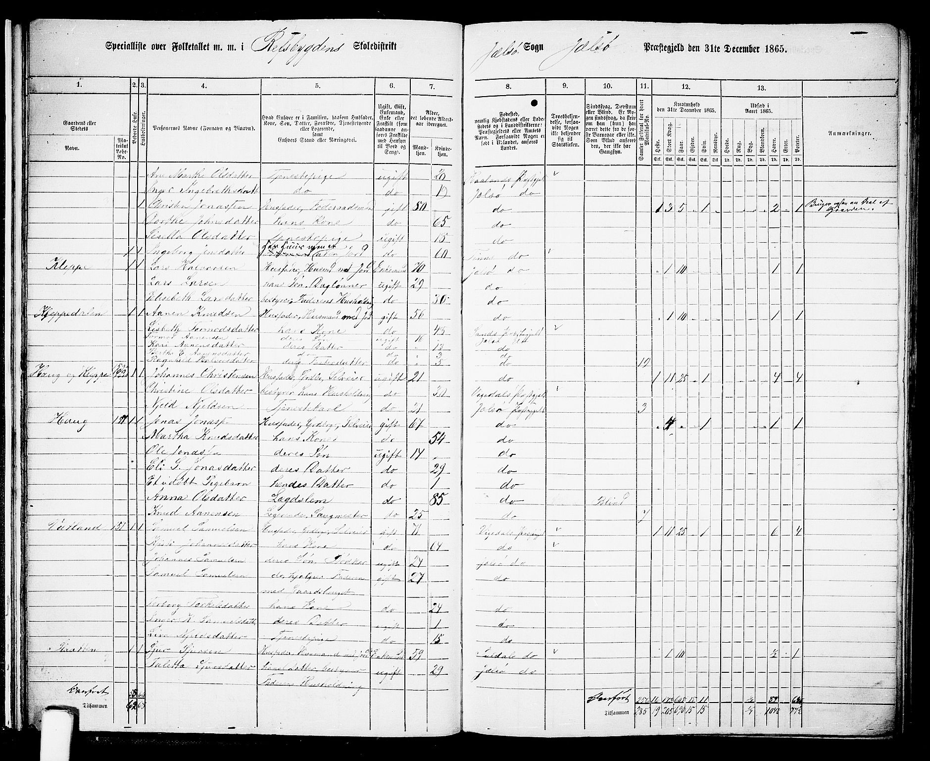 RA, 1865 census for Jelsa, 1865, p. 18