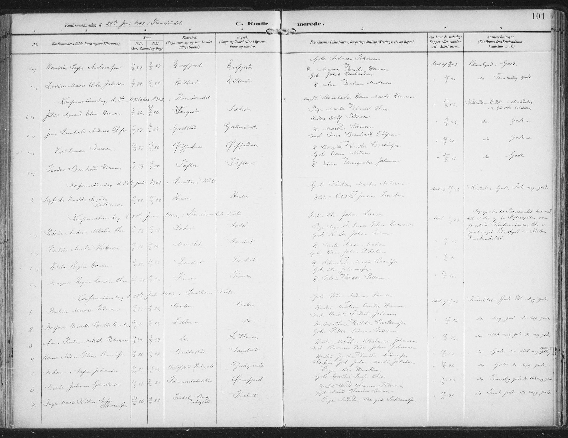 Lenvik sokneprestembete, AV/SATØ-S-1310/H/Ha/Haa/L0015kirke: Parish register (official) no. 15, 1896-1915, p. 101