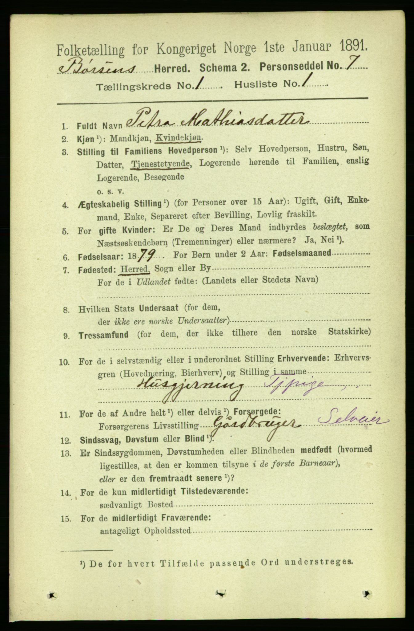 RA, 1891 census for 1658 Børsa, 1891, p. 96