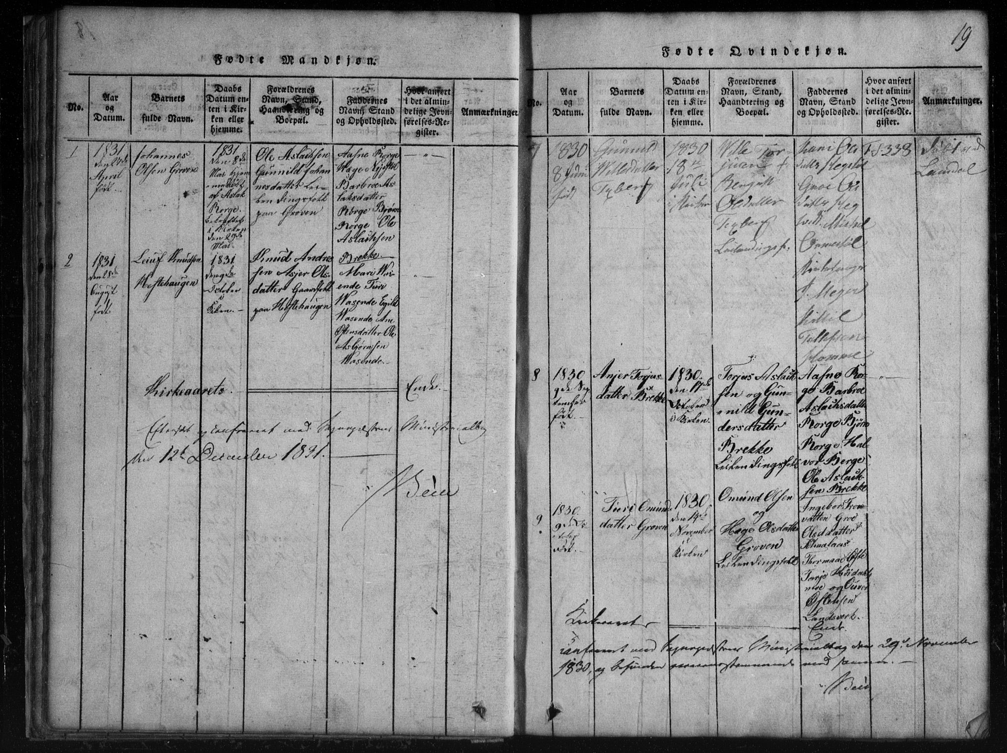 Rauland kirkebøker, SAKO/A-292/G/Gb/L0001: Parish register (copy) no. II 1, 1815-1886, p. 19