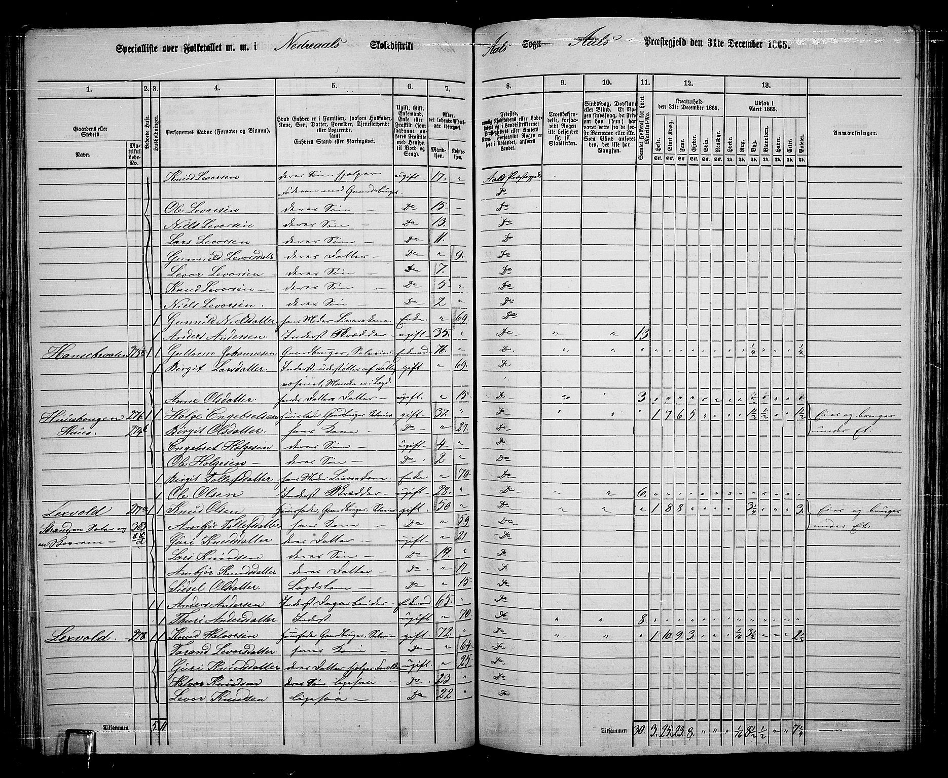 RA, 1865 census for Ål, 1865, p. 148