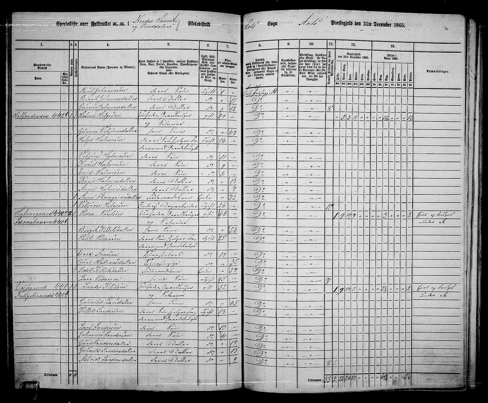 RA, 1865 census for Ål, 1865, p. 216