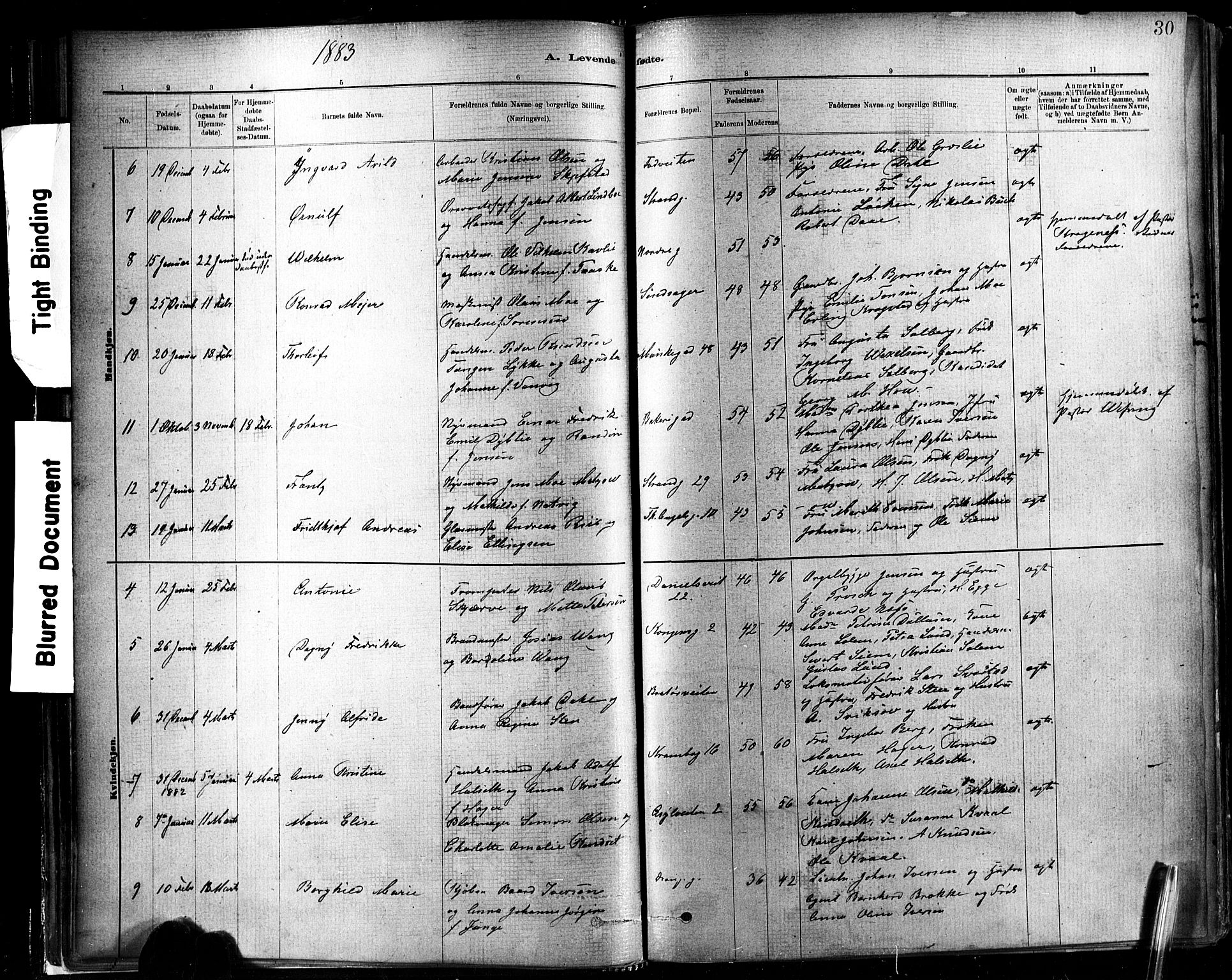 Ministerialprotokoller, klokkerbøker og fødselsregistre - Sør-Trøndelag, SAT/A-1456/602/L0119: Parish register (official) no. 602A17, 1880-1901, p. 30