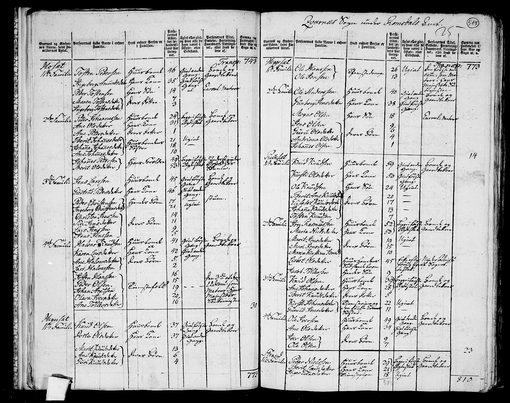 RA, 1801 census for 1553P Kvernes, 1801, p. 516b-517a