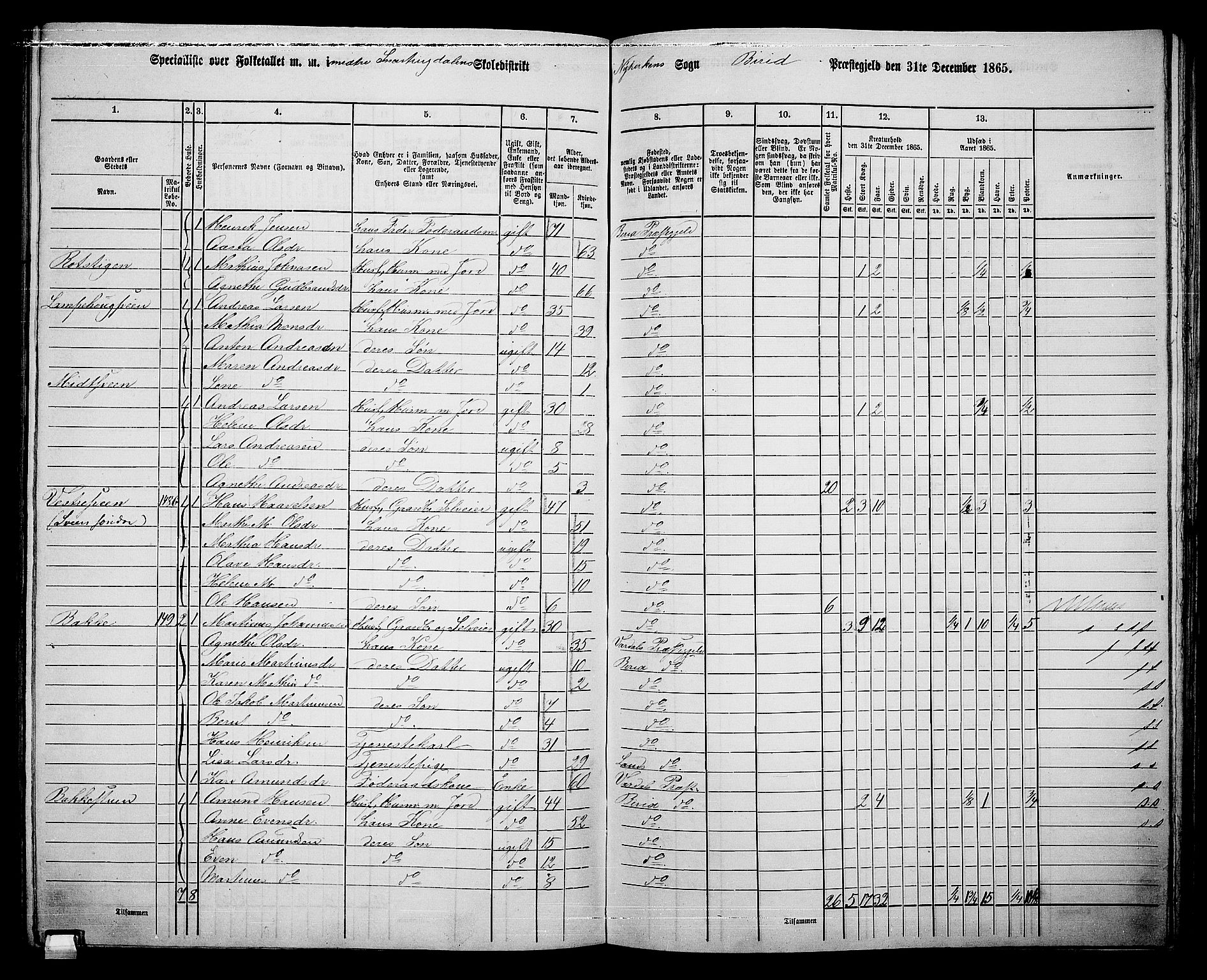 RA, 1865 census for Biri, 1865, p. 144