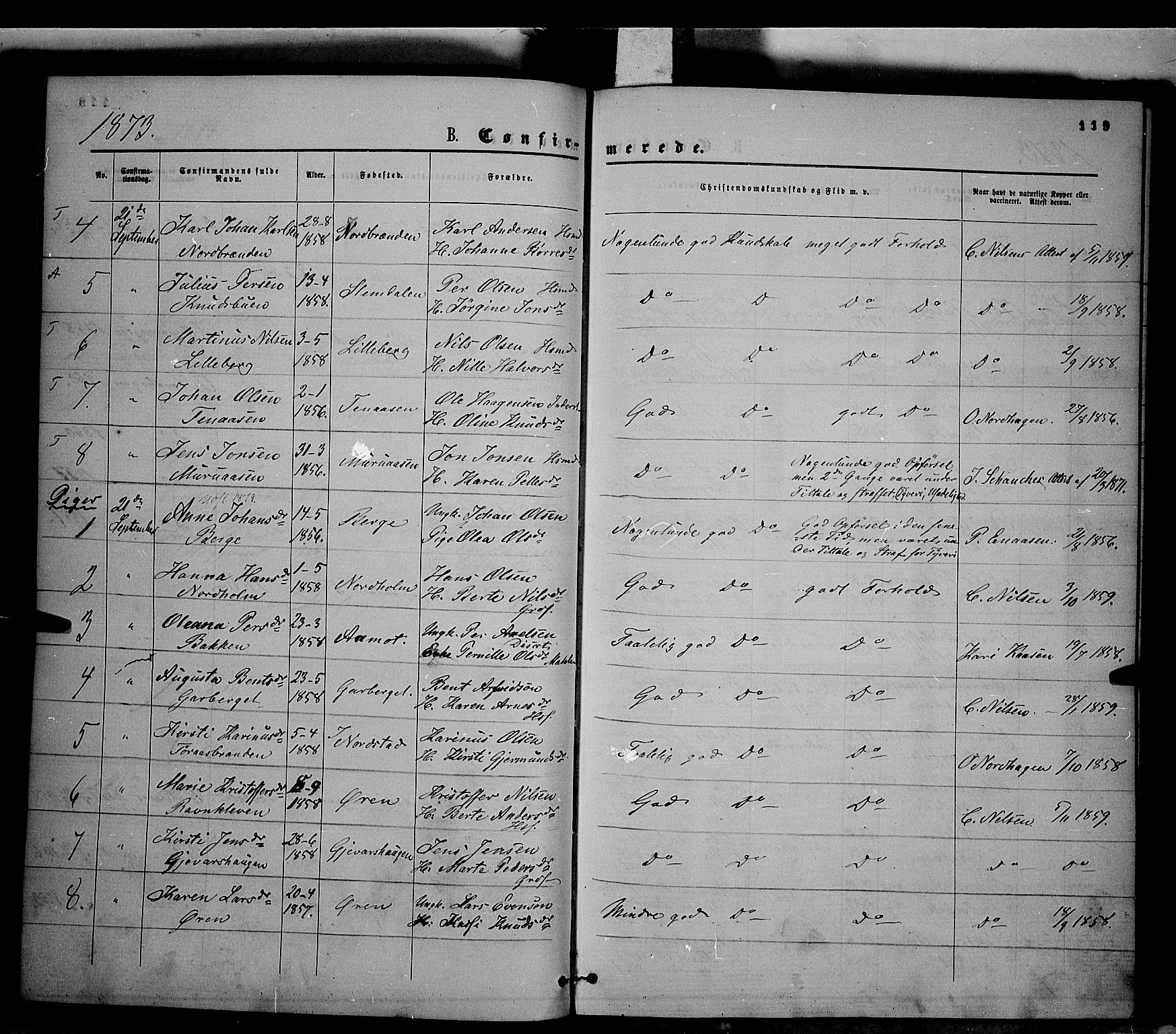 Trysil prestekontor, SAH/PREST-046/H/Ha/Haa/L0006: Parish register (official) no. 6, 1866-1873, p. 119