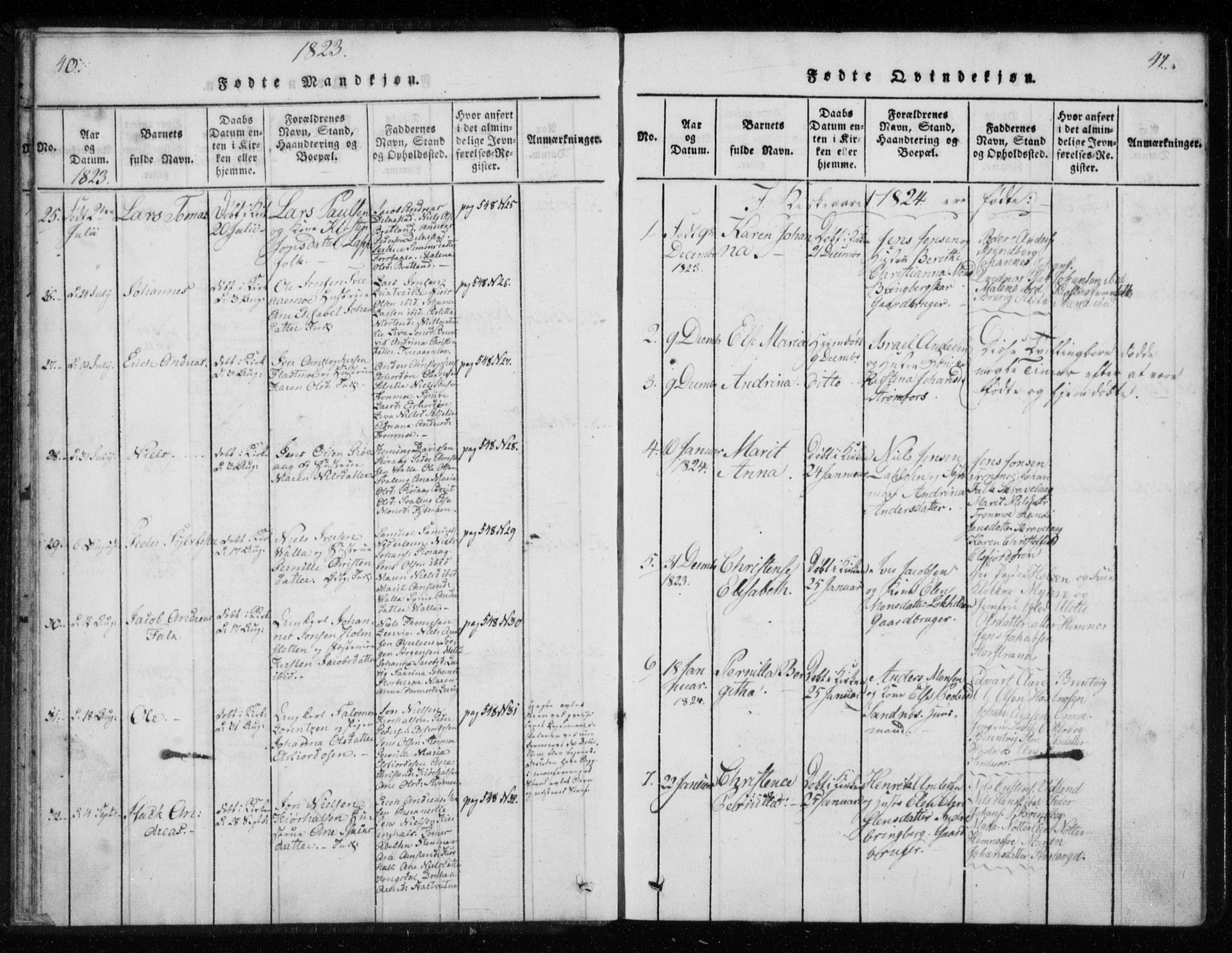 Ministerialprotokoller, klokkerbøker og fødselsregistre - Nordland, AV/SAT-A-1459/825/L0353: Parish register (official) no. 825A07, 1820-1826, p. 40-41