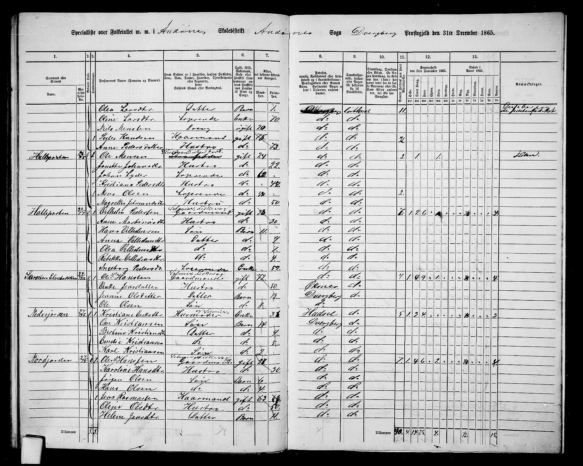 RA, 1865 census for Dverberg, 1865, p. 62