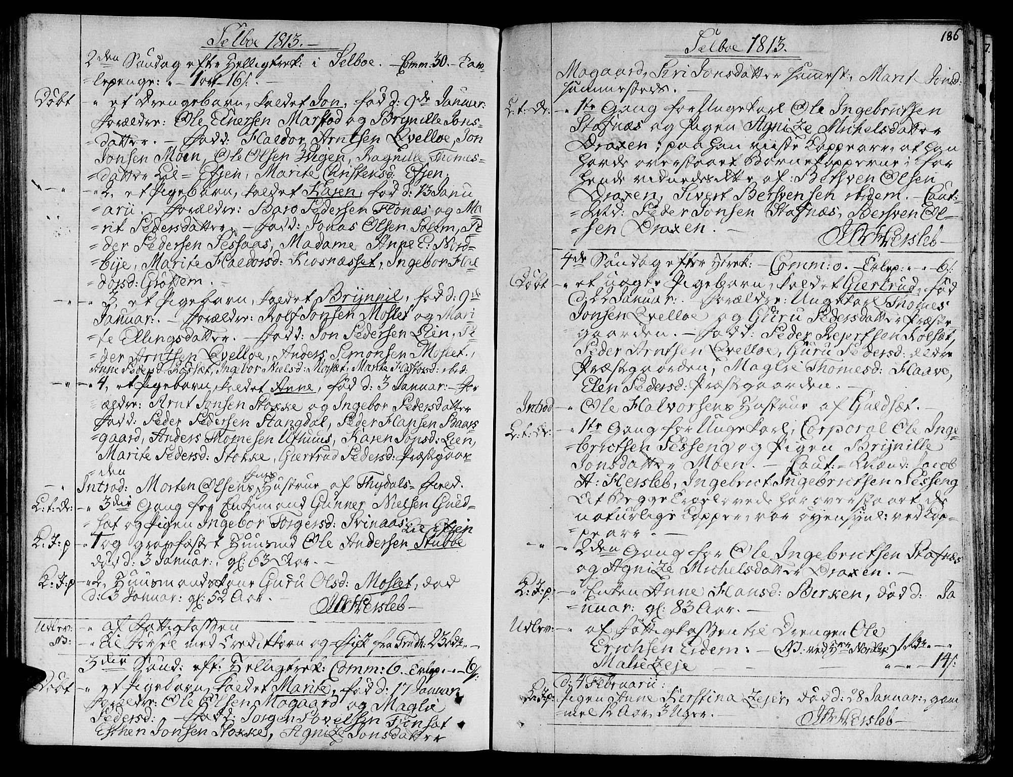 Ministerialprotokoller, klokkerbøker og fødselsregistre - Sør-Trøndelag, SAT/A-1456/695/L1140: Parish register (official) no. 695A03, 1801-1815, p. 186