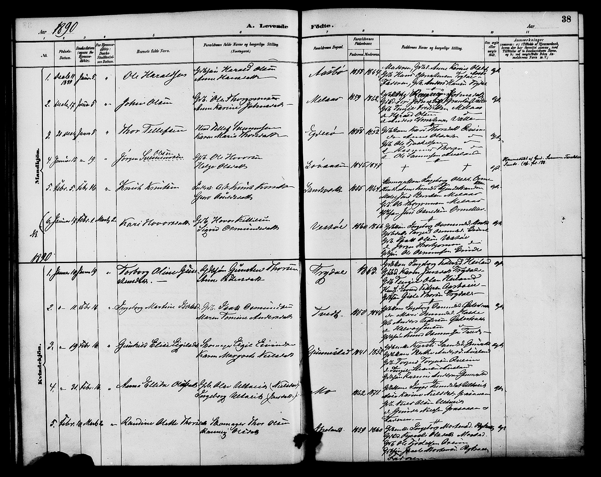 Gjerstad sokneprestkontor, AV/SAK-1111-0014/F/Fa/Faa/L0009: Parish register (official) no. A 9, 1885-1890, p. 38