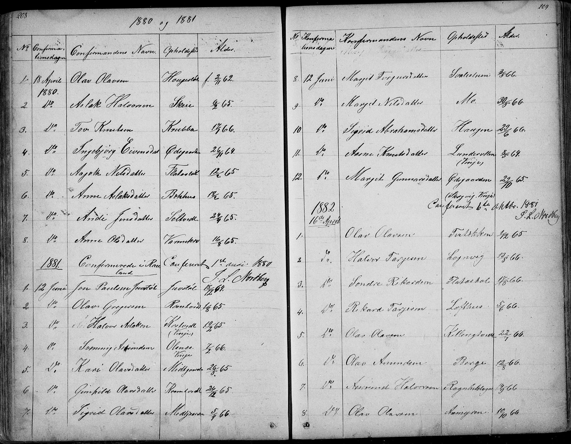 Rauland kirkebøker, SAKO/A-292/G/Ga/L0002: Parish register (copy) no. I 2, 1849-1935, p. 208-209