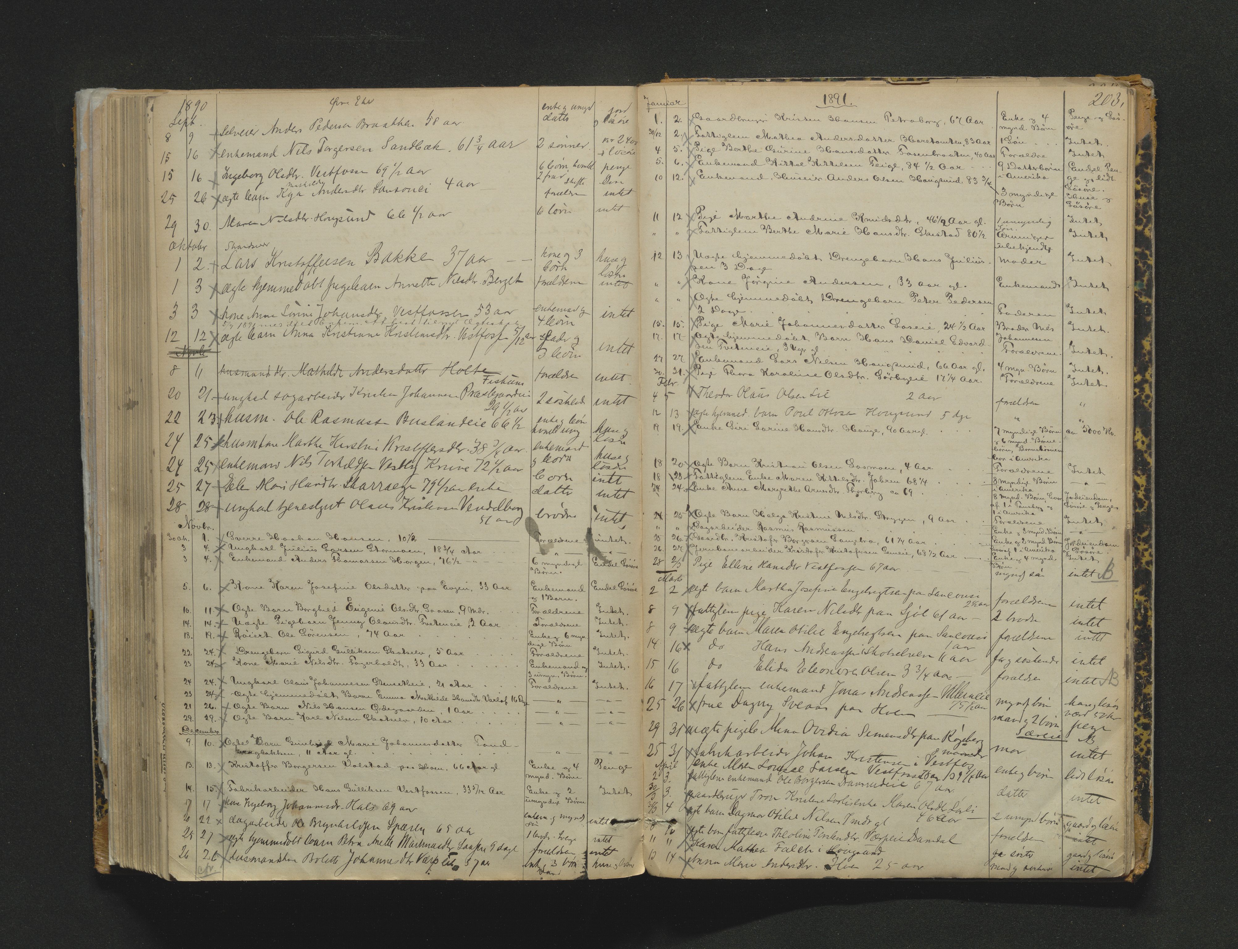Eiker, Modum og Sigdal sorenskriveri, AV/SAKO-A-123/H/Ha/Haa/L0003: Dødsfallsprotokoll, 1870-1892, p. 203