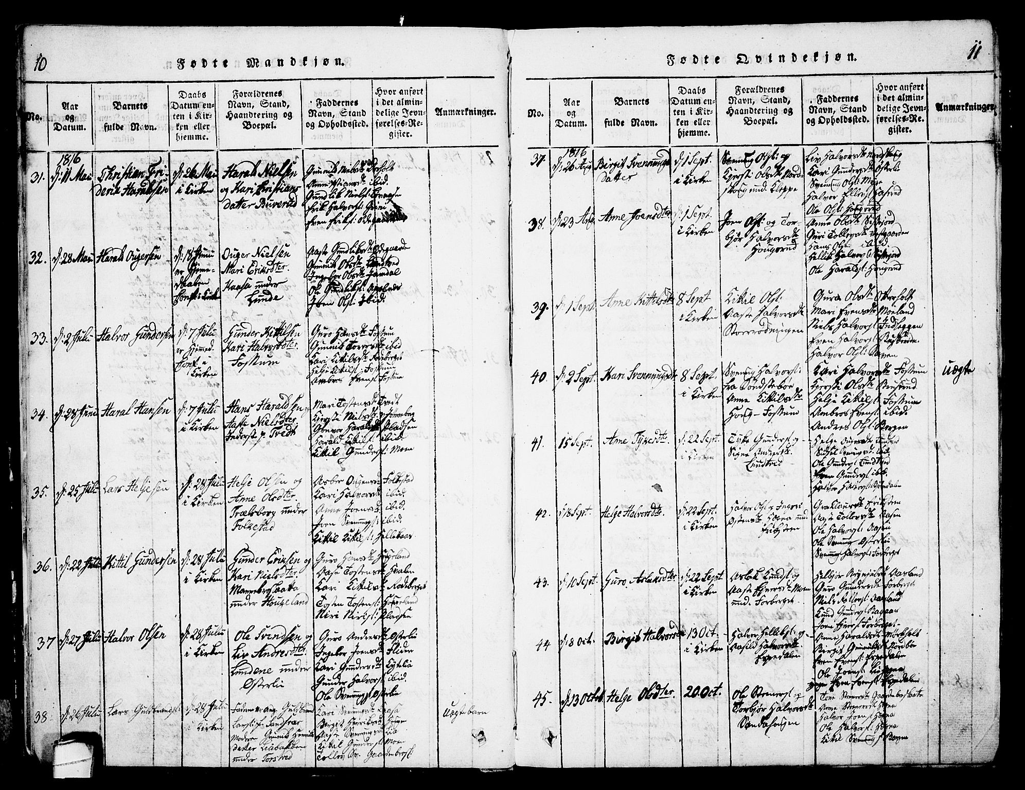 Bø kirkebøker, AV/SAKO-A-257/G/Ga/L0001: Parish register (copy) no. 1, 1815-1831, p. 10-11