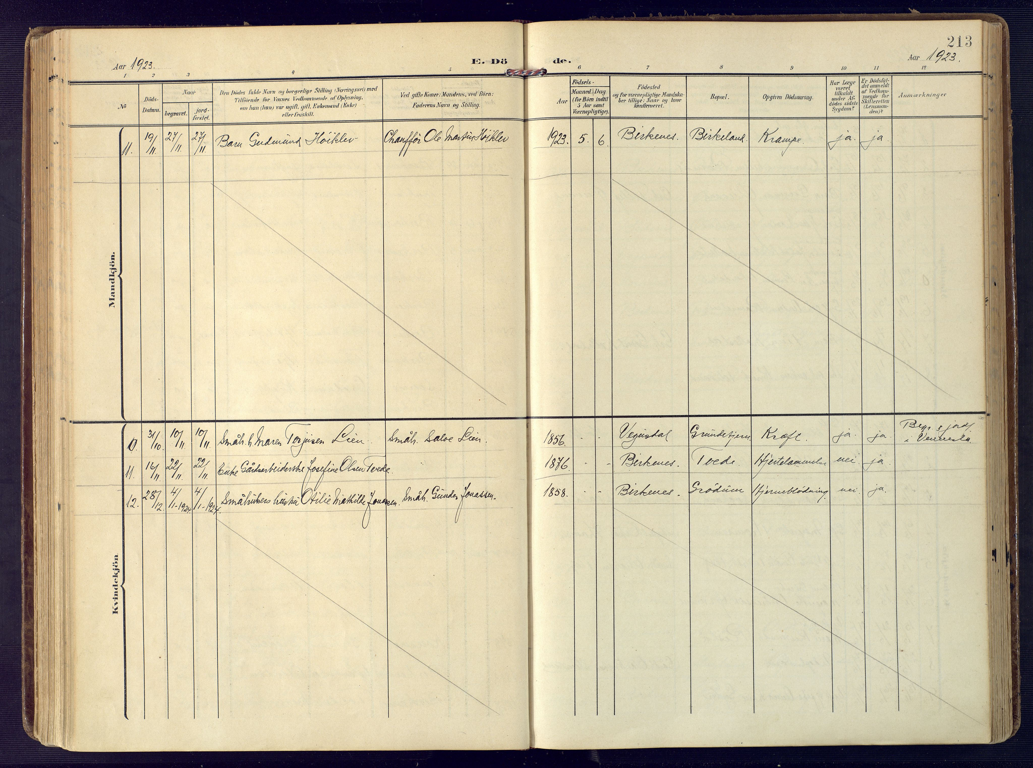 Birkenes sokneprestkontor, SAK/1111-0004/F/Fa/L0006: Parish register (official) no. A 6, 1908-1932, p. 213