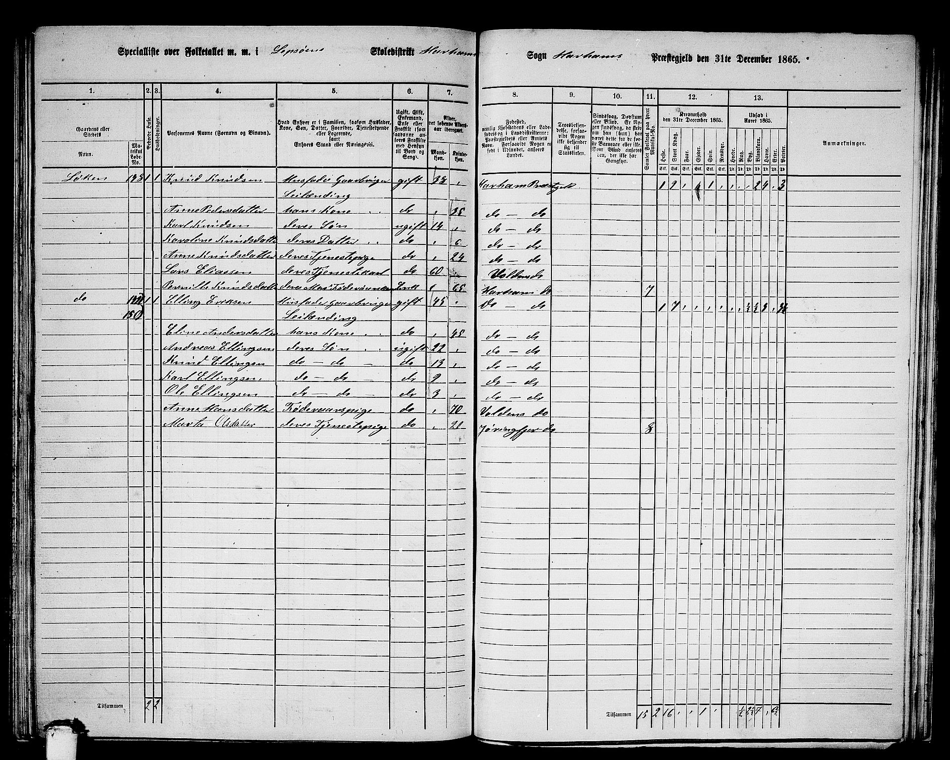 RA, 1865 census for Haram, 1865, p. 66