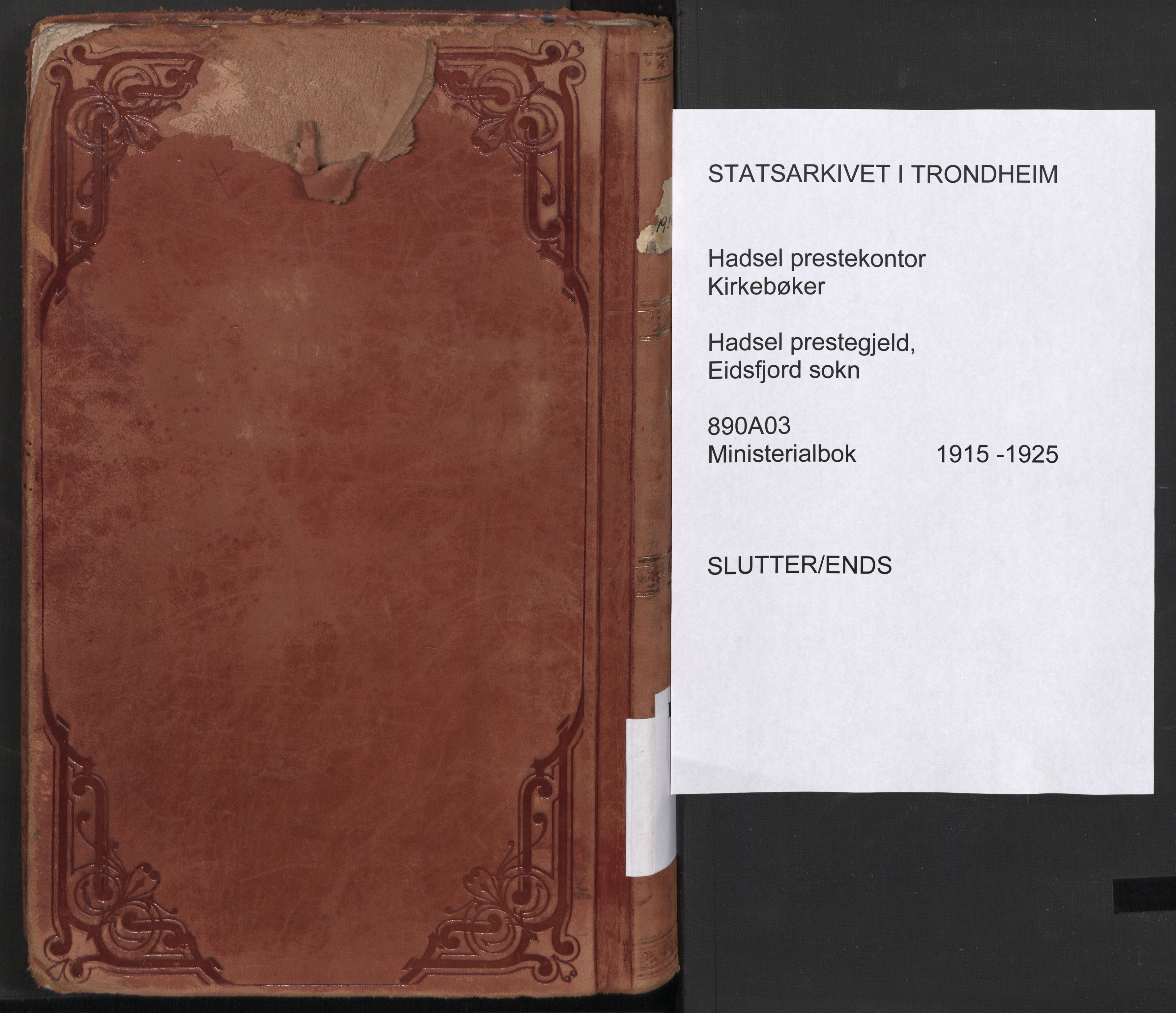 Ministerialprotokoller, klokkerbøker og fødselsregistre - Nordland, AV/SAT-A-1459/890/L1288: Parish register (official) no. 890A03, 1915-1925