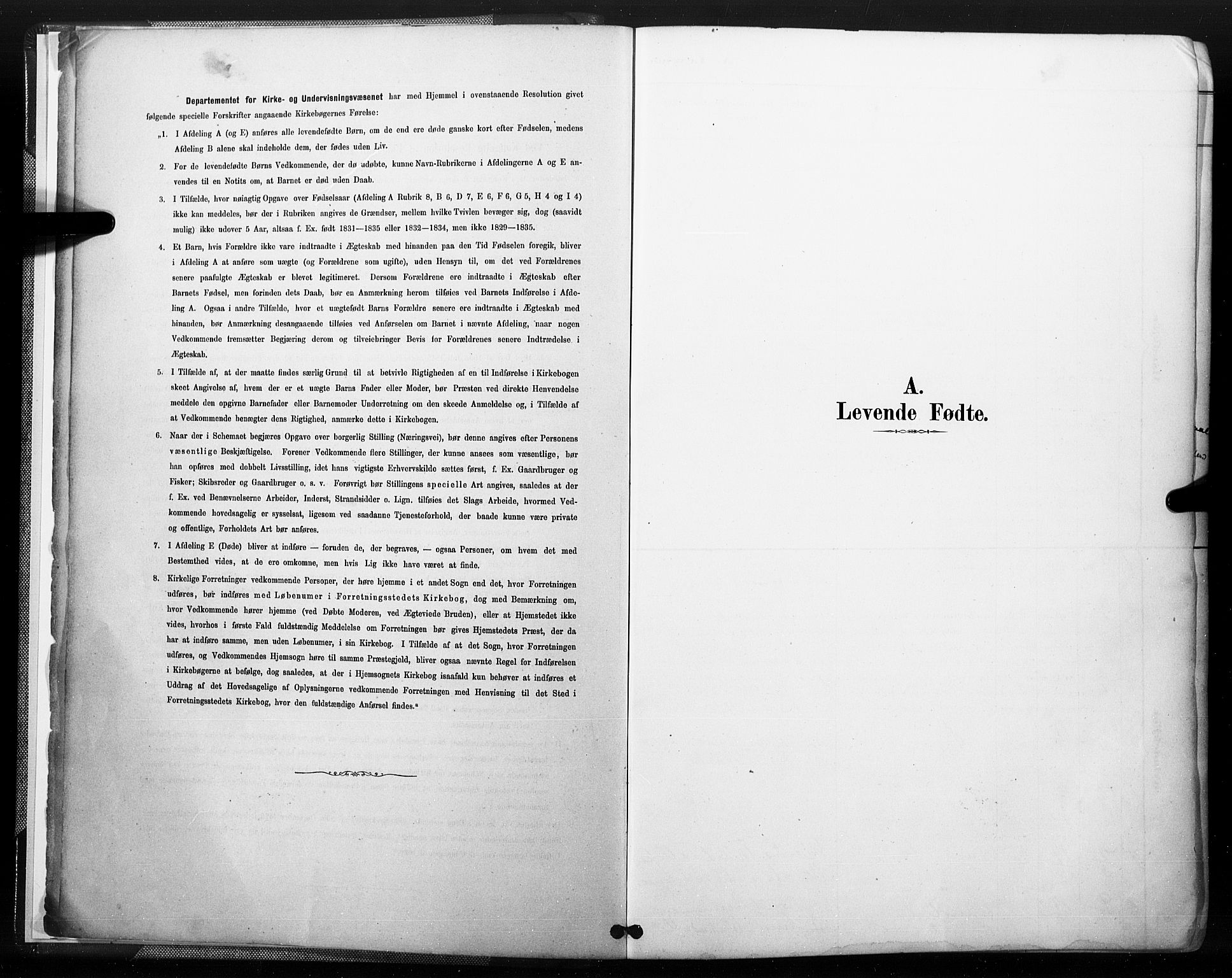Åmli sokneprestkontor, AV/SAK-1111-0050/F/Fa/Fac/L0010: Parish register (official) no. A 10 /1, 1885-1899